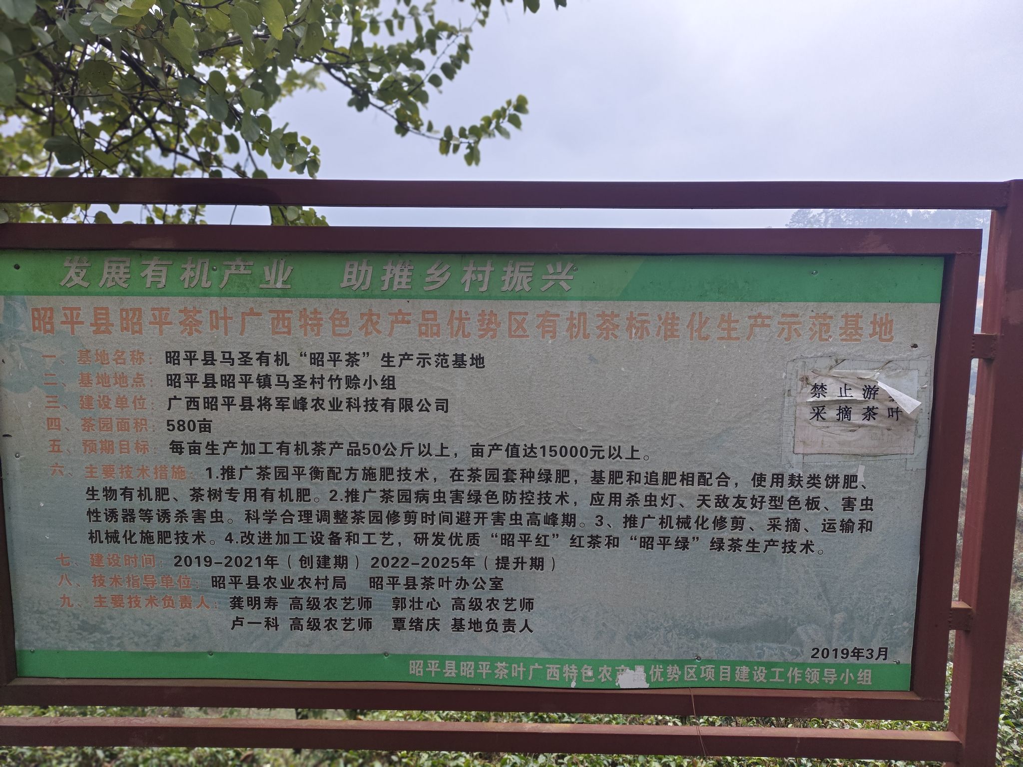 广西昭平县故乡茶博园旅行图片 1