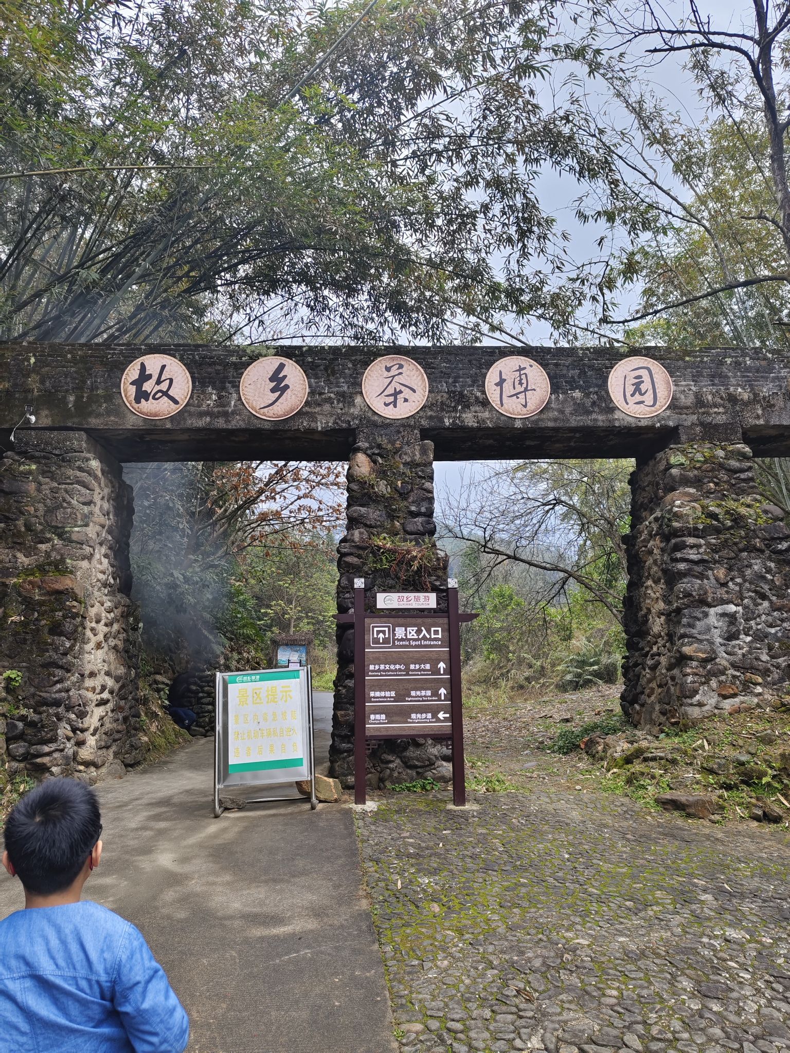 广西昭平县故乡茶博园旅行图片 2