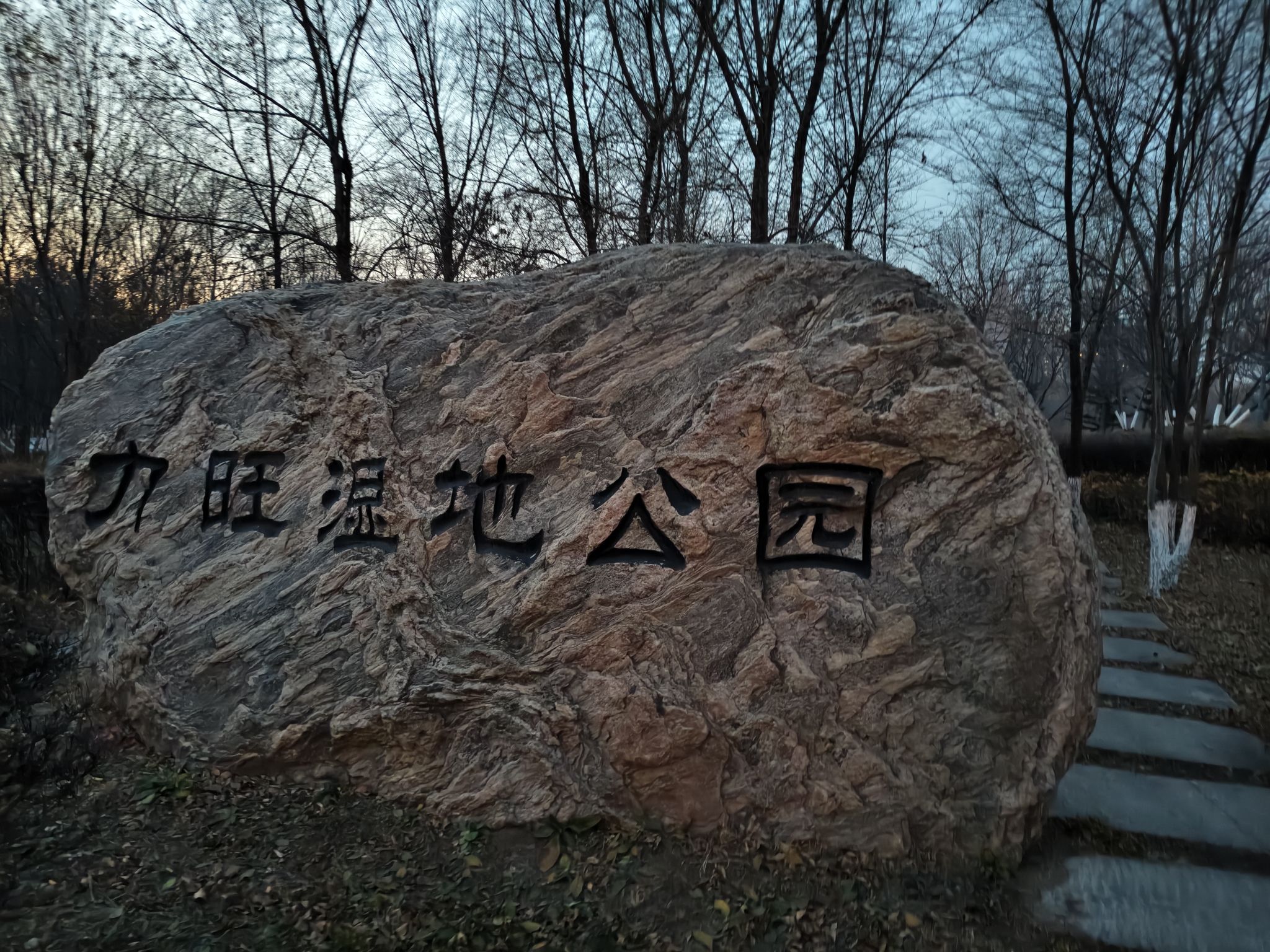 力旺湿地公园旅行图片 2