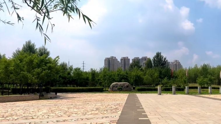 力旺湿地公园旅行图片 2