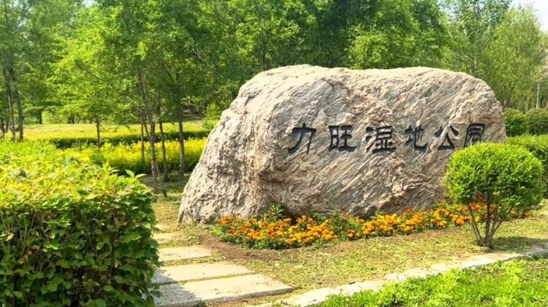 力旺湿地公园旅行图片 3