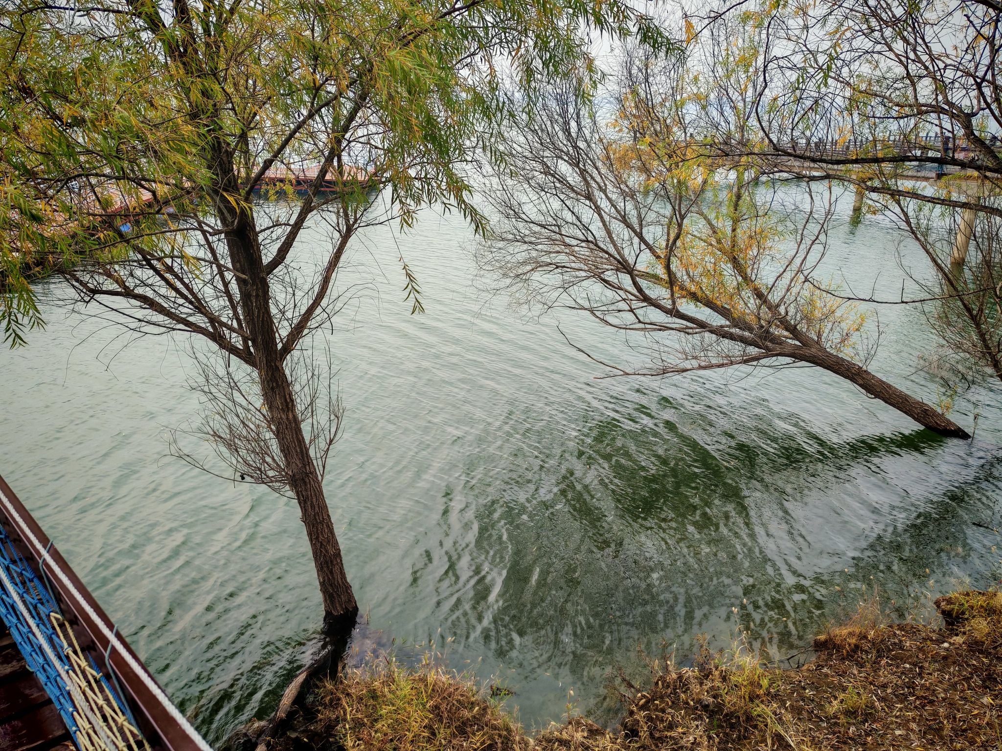 岐山湖风景区旅行图片 3