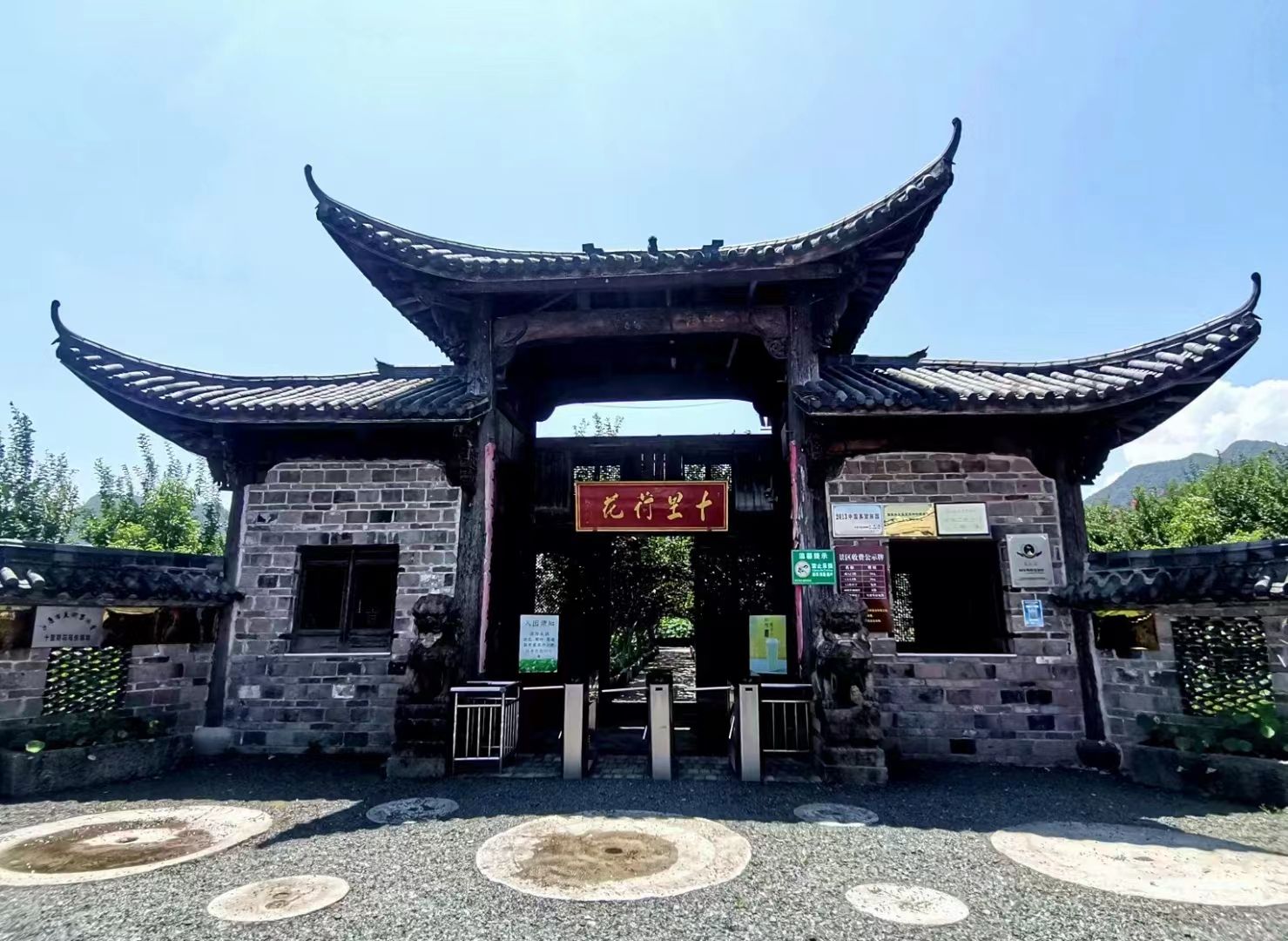 武义十里荷花景区旅行图片 1
