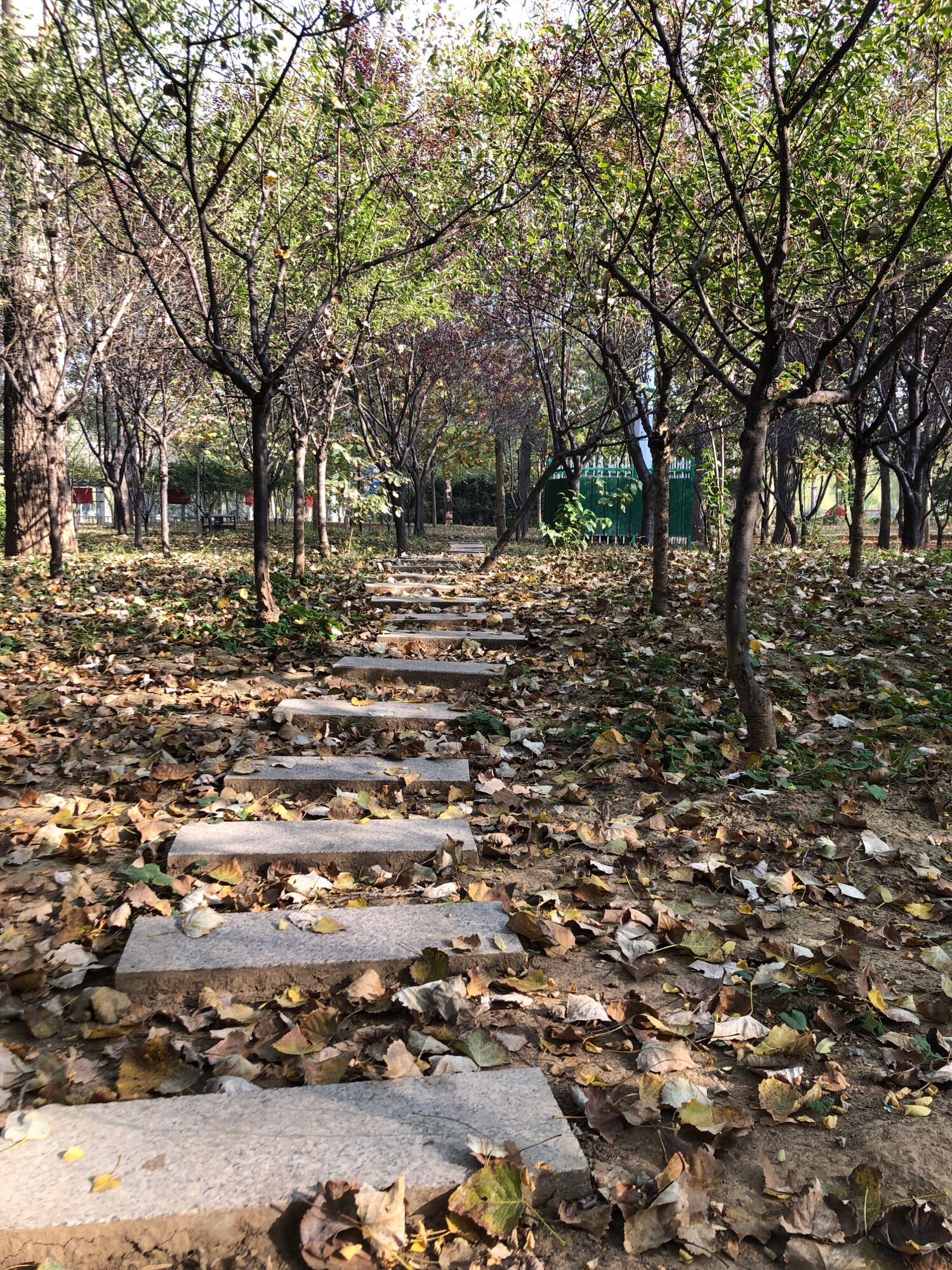 平恩公园旅行图片 1