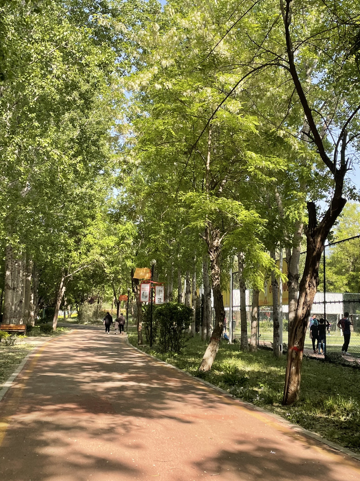 平恩公园旅行图片 1