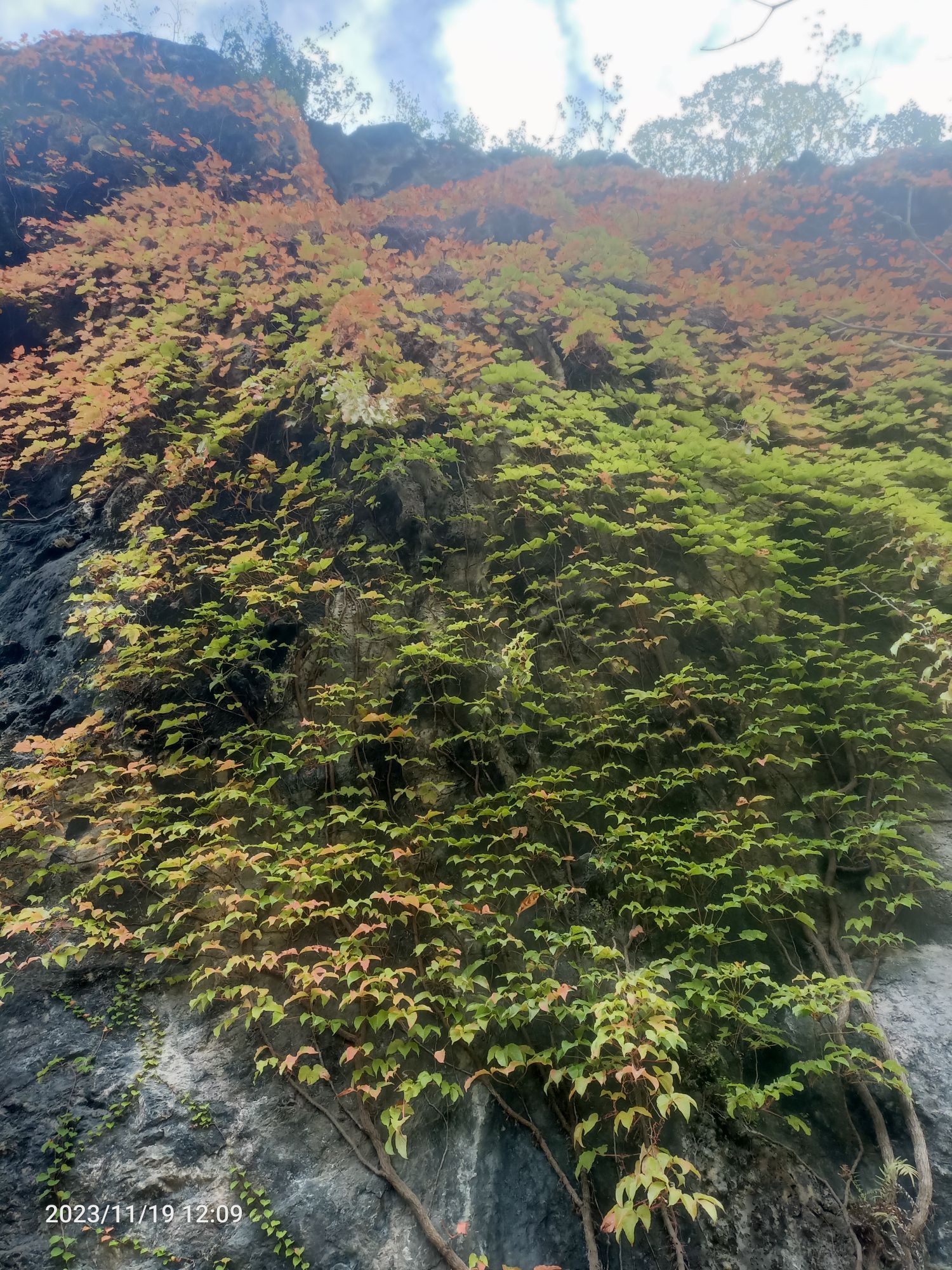 龙岩景区旅行图片 2