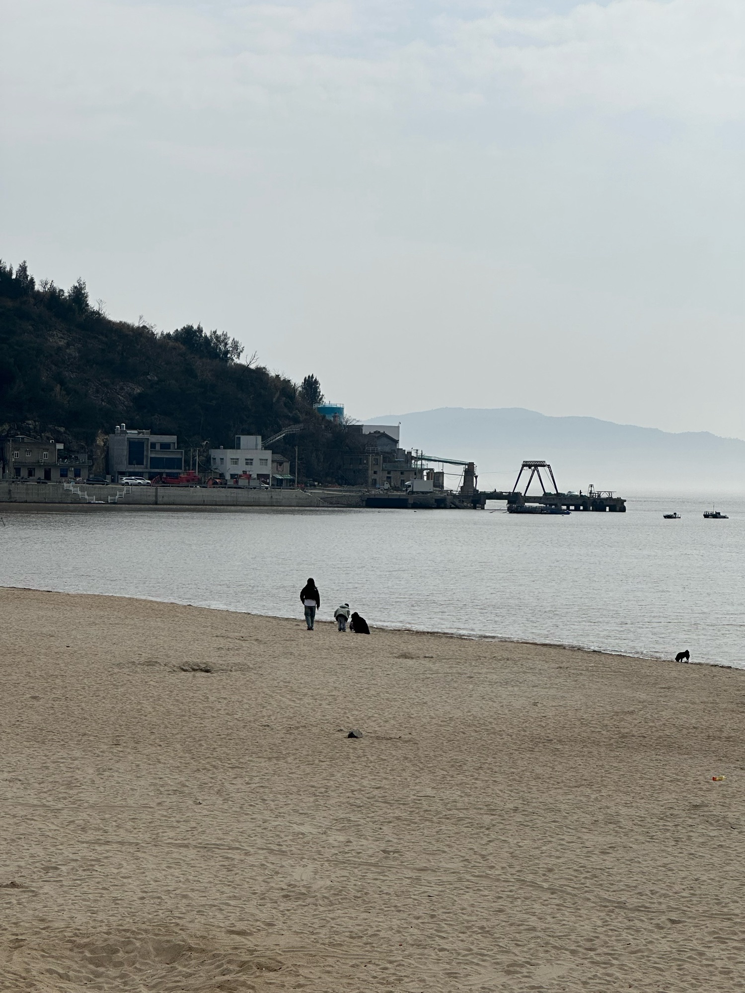 鲜迭沙滩旅行图片 1