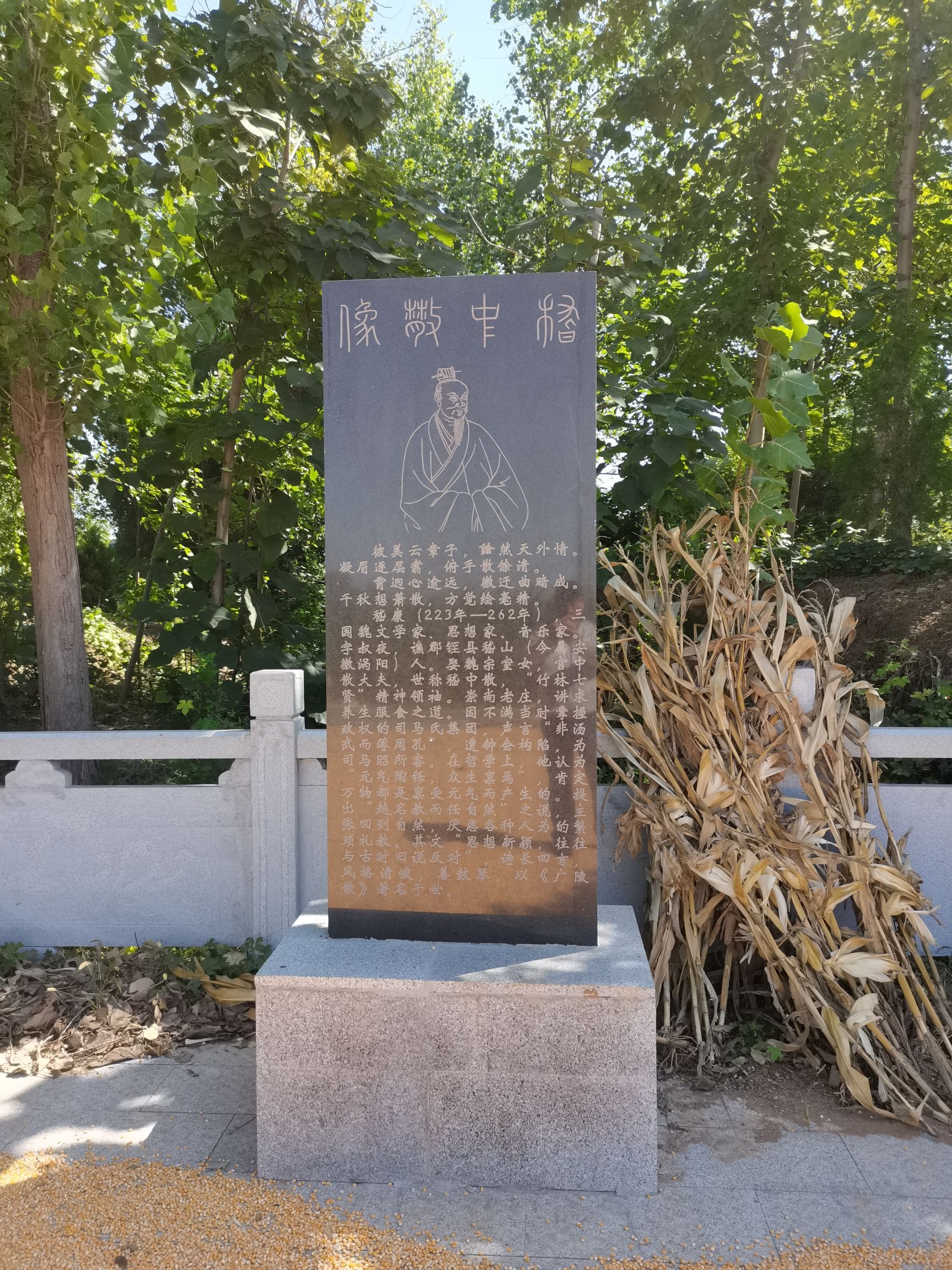 嵇康墓旅行图片 3