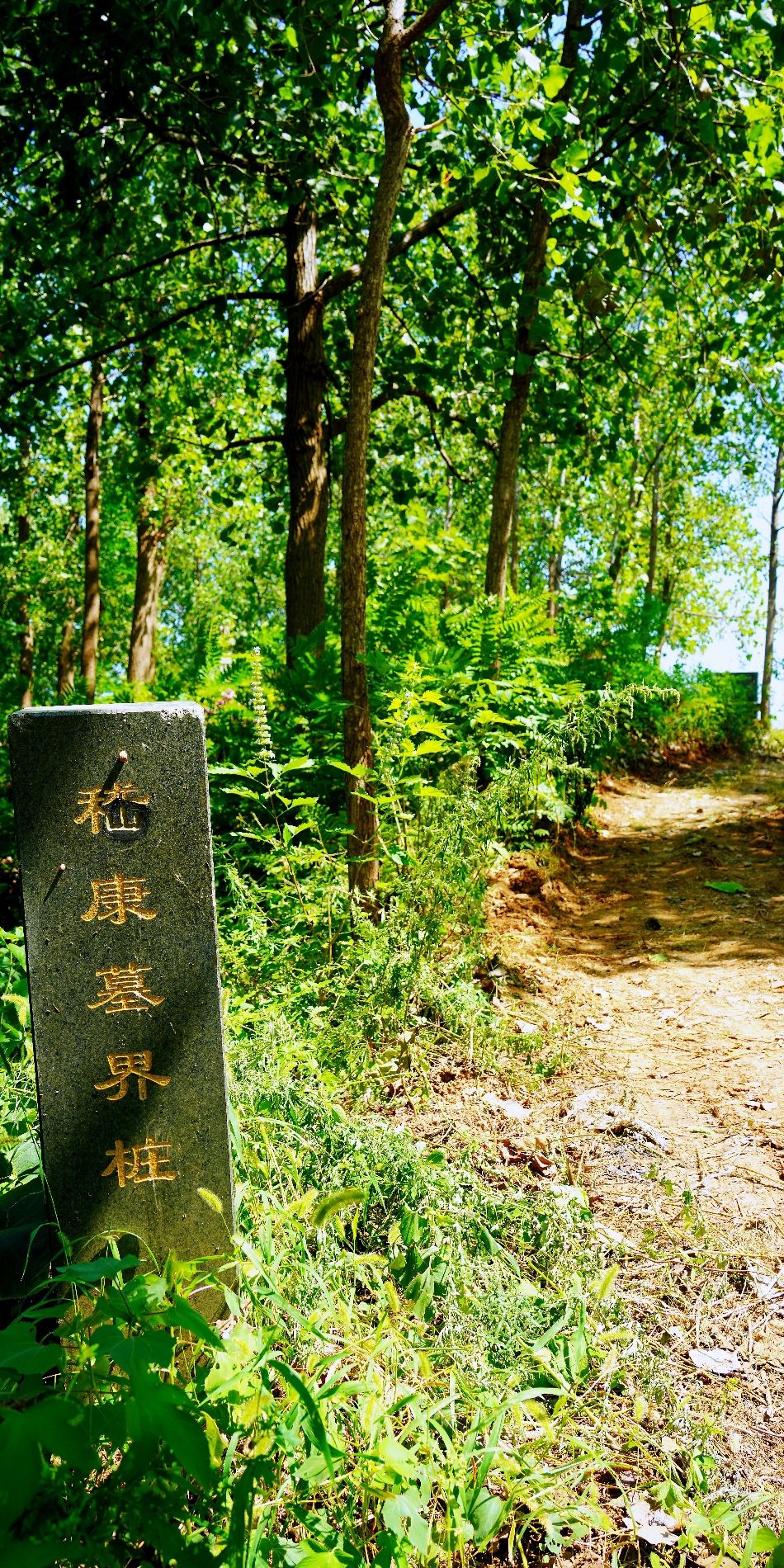 嵇康墓旅行图片 1