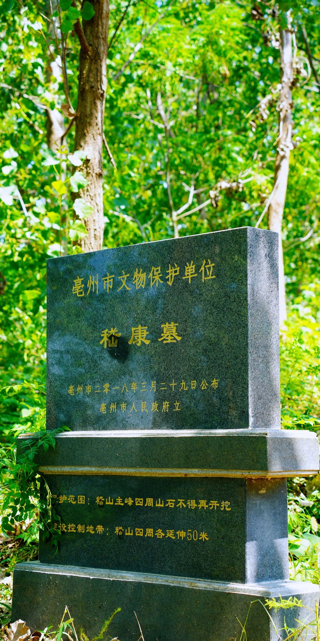 嵇康墓旅行图片 2