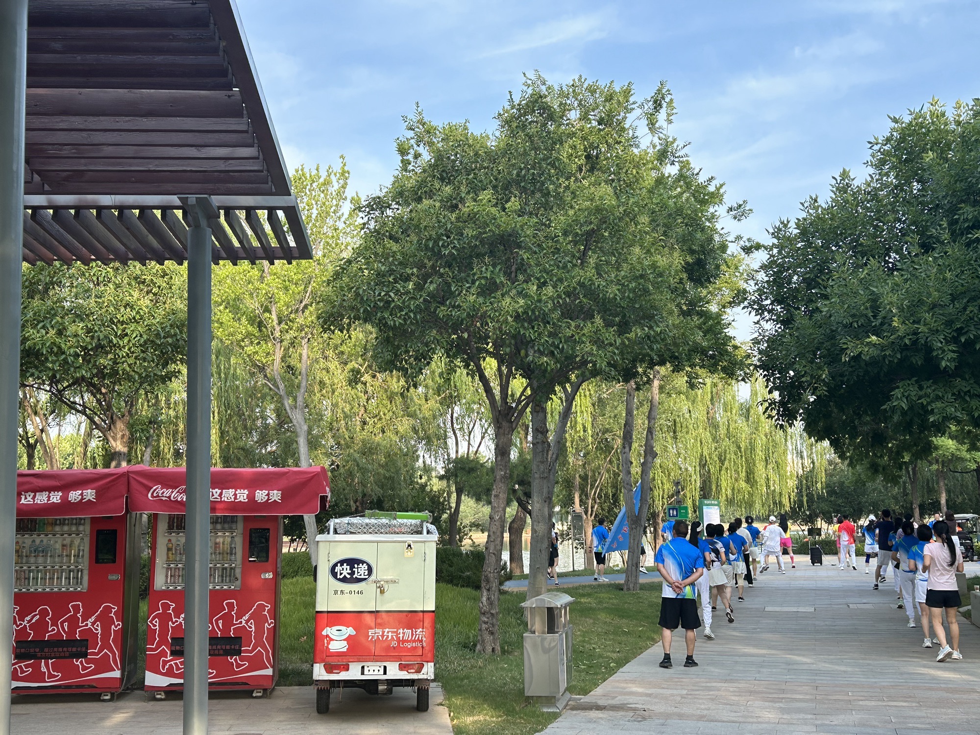 足球公园旅行图片 3