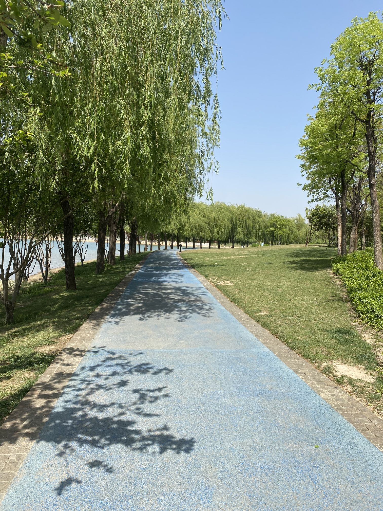 足球公园旅行图片 2