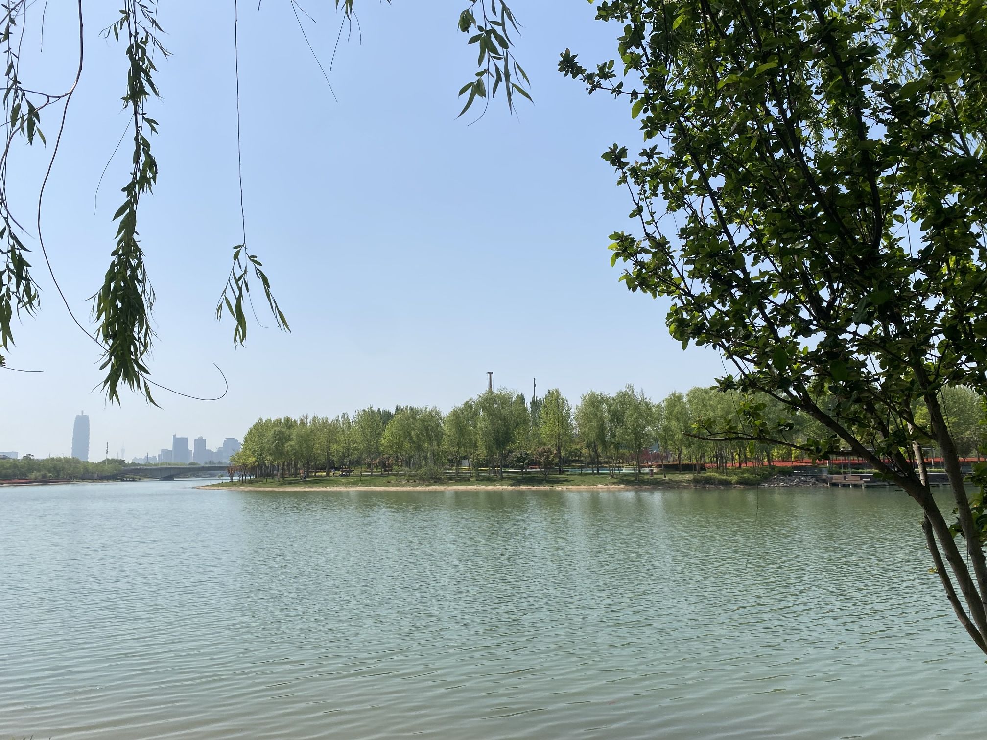 足球公园旅行图片 1