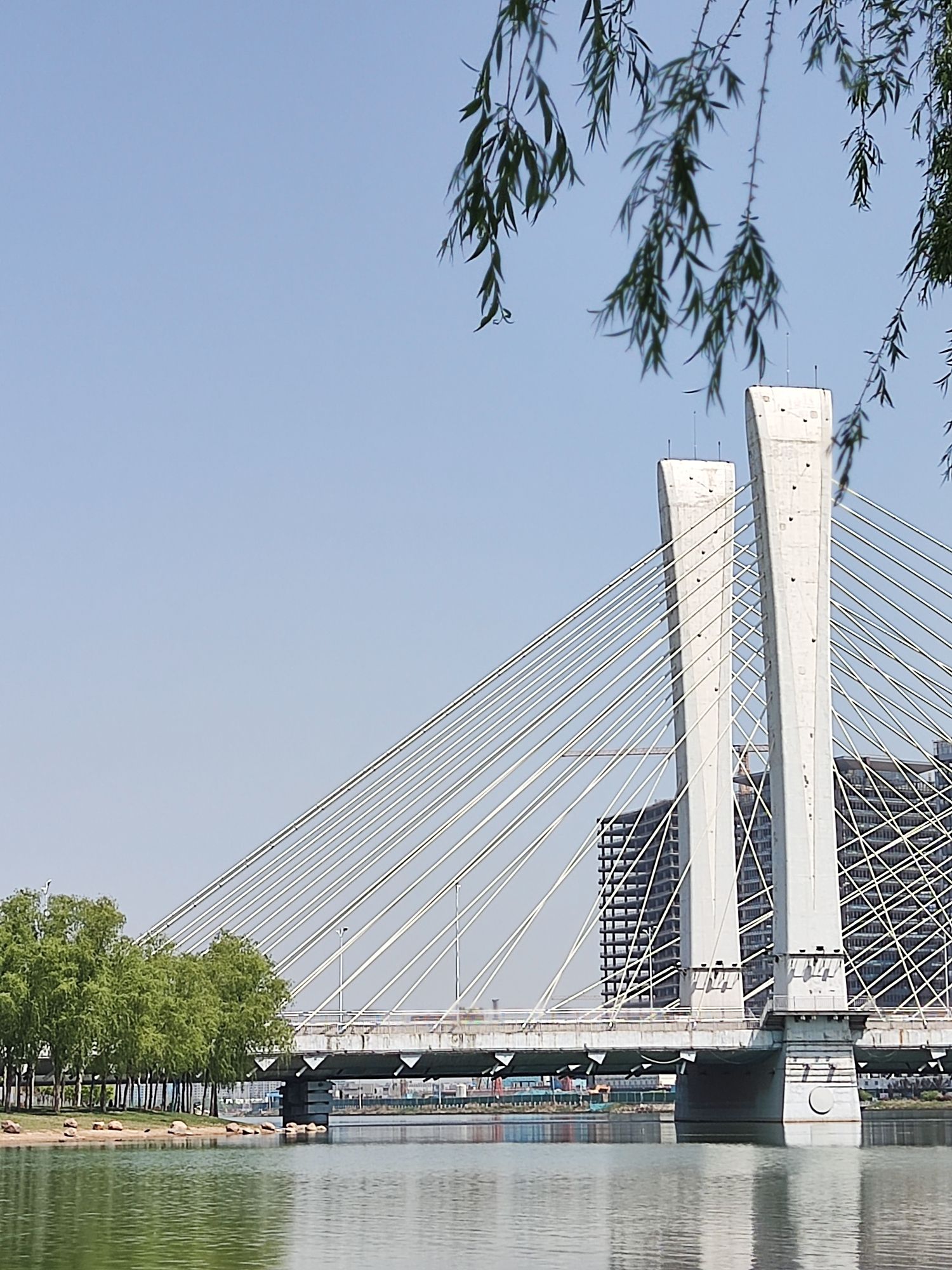 足球公园旅行图片 3