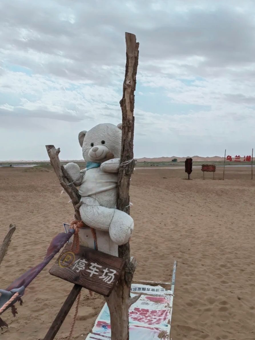 阿拉善左旗腾格里沙漠月亮湖景区旅行图片 2
