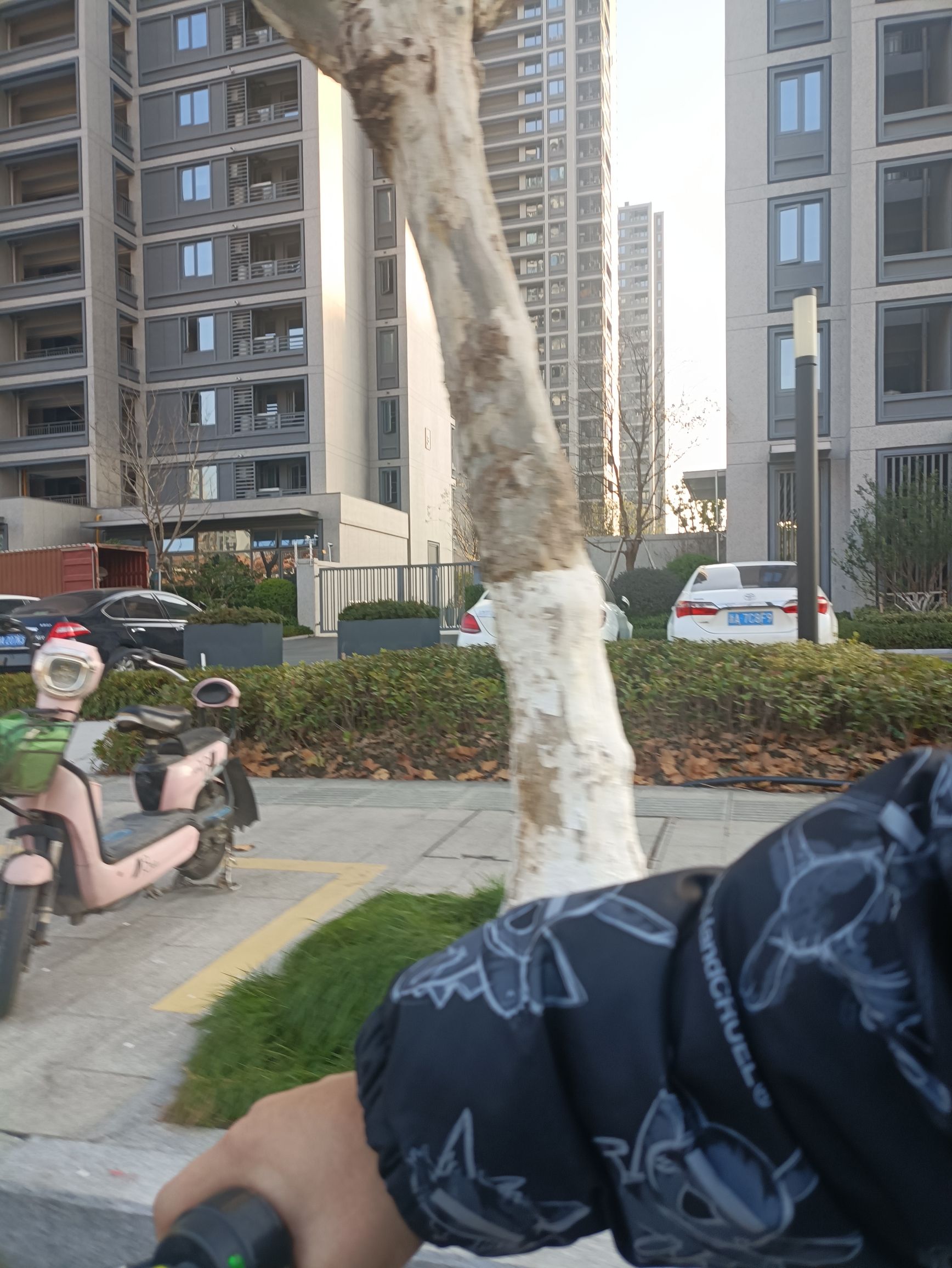 宁围市民公园旅行图片 1