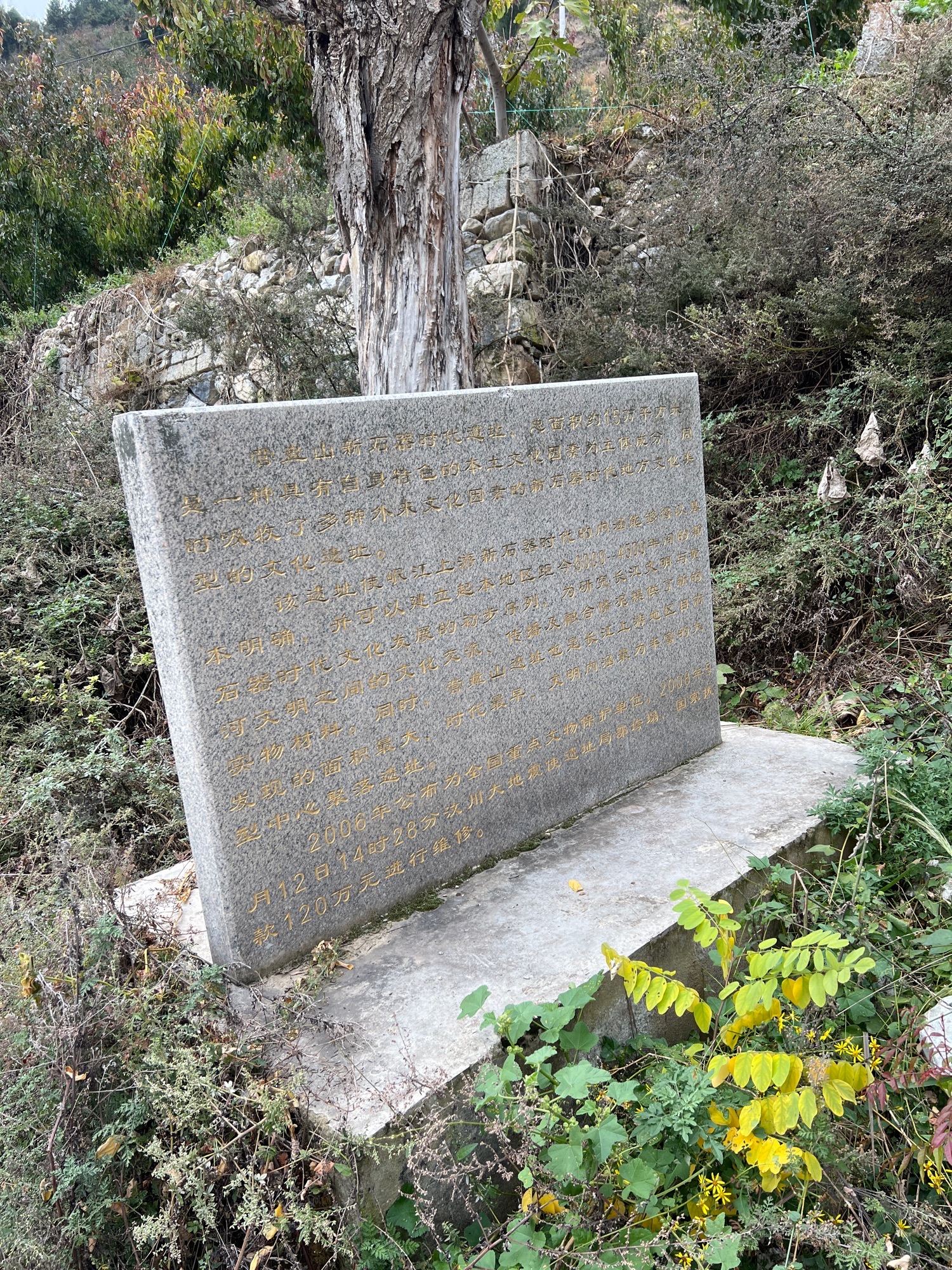 营盘山新石器遗址旅行图片 2