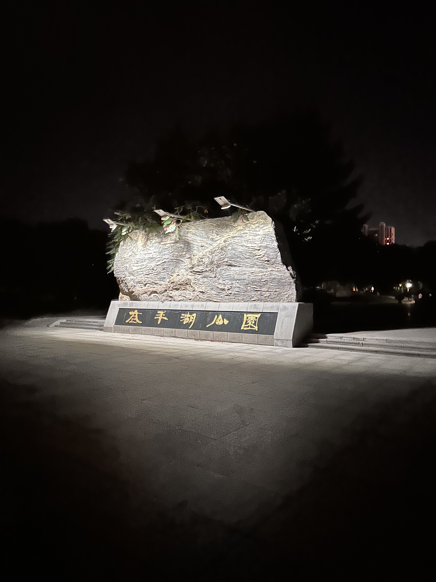 太平湖公园旅行图片 1