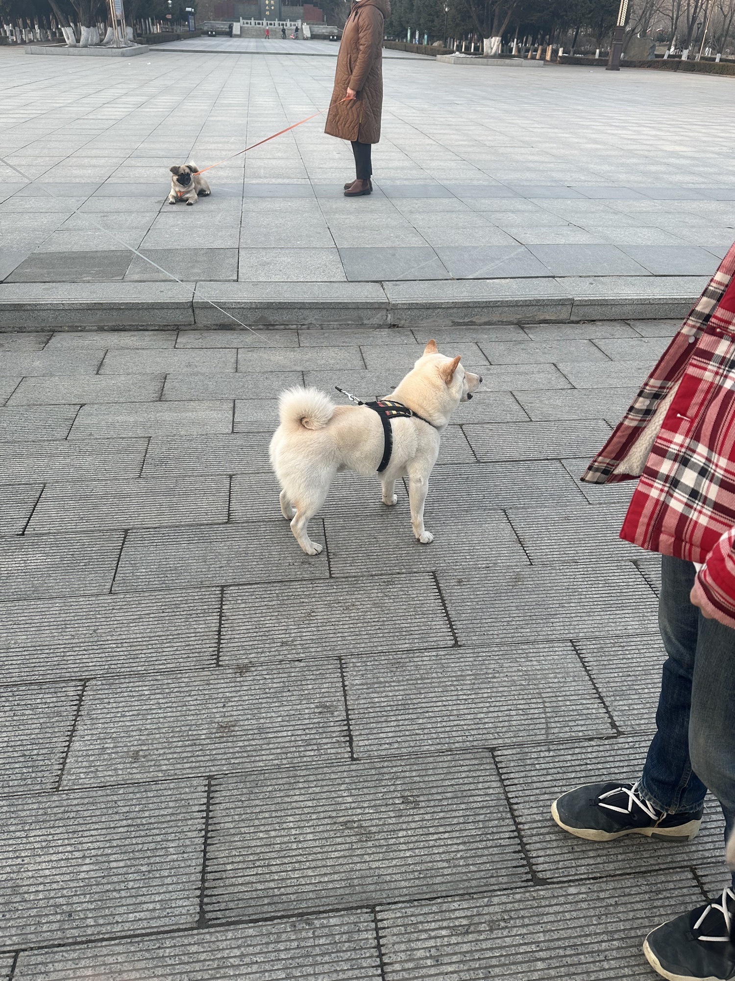 太平湖公园旅行图片 3