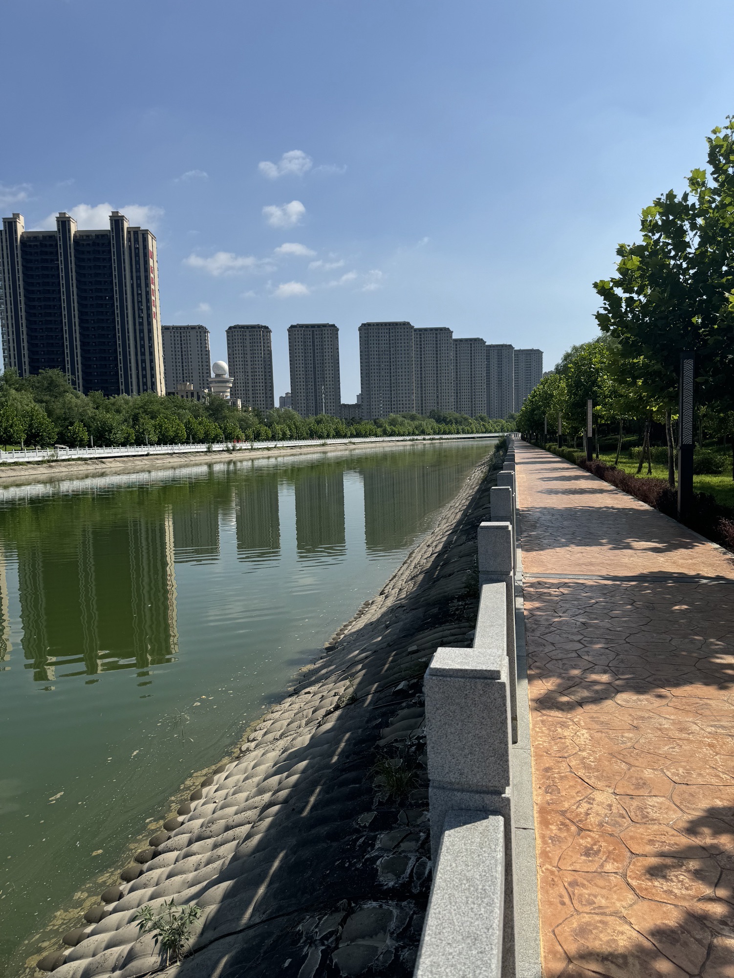 太平湖公园旅行图片 2