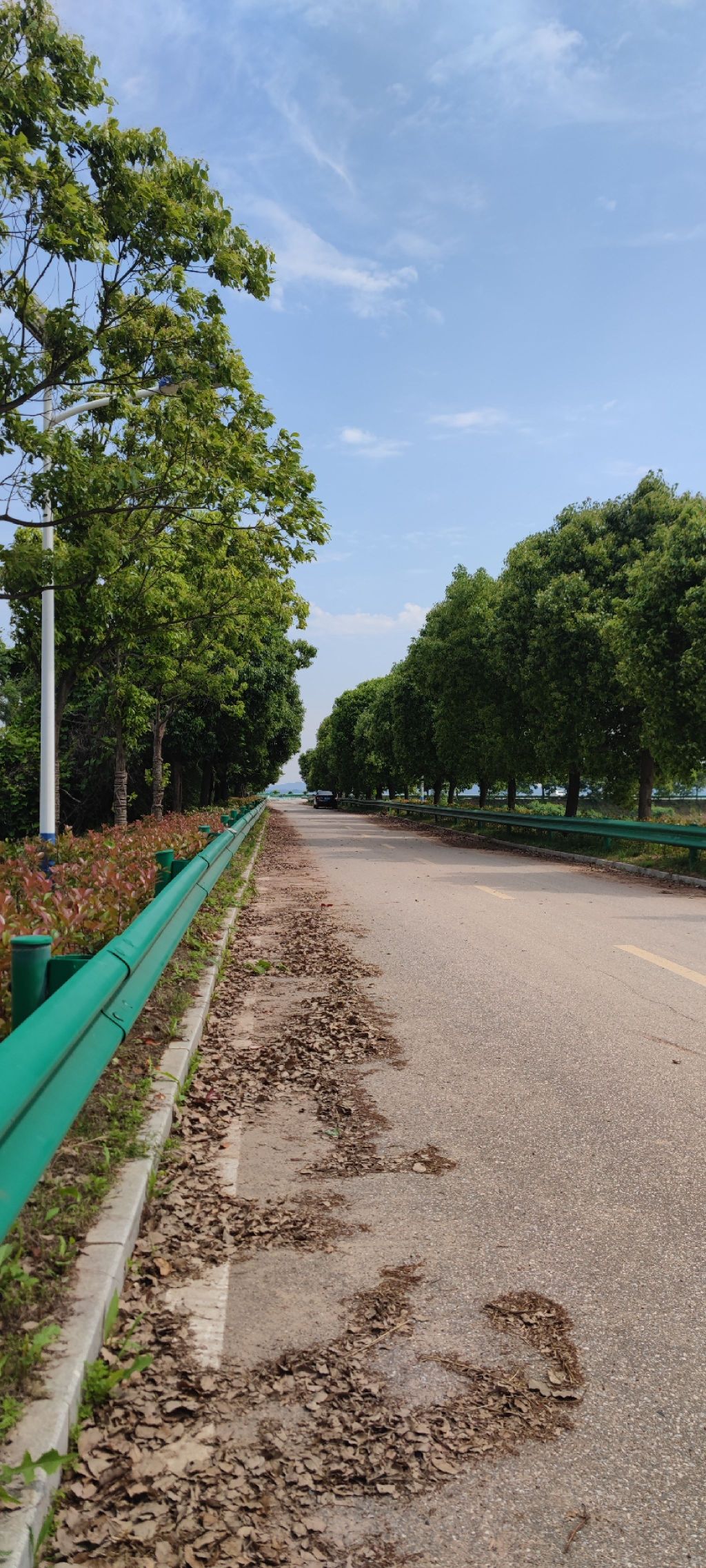 白荡湖湿地公园旅行图片 1