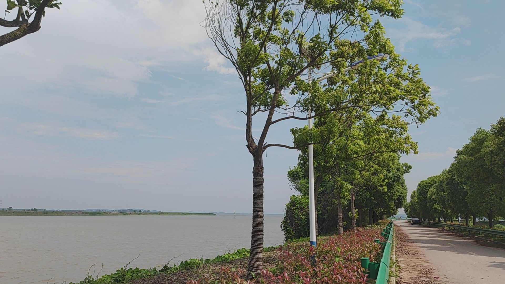 白荡湖湿地公园