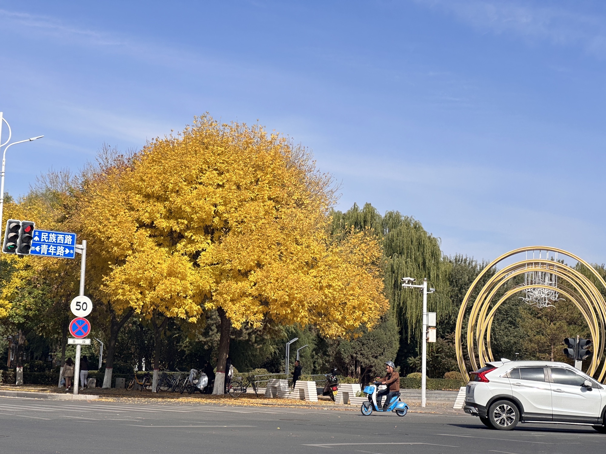 阿尔丁植物公园旅行图片 2