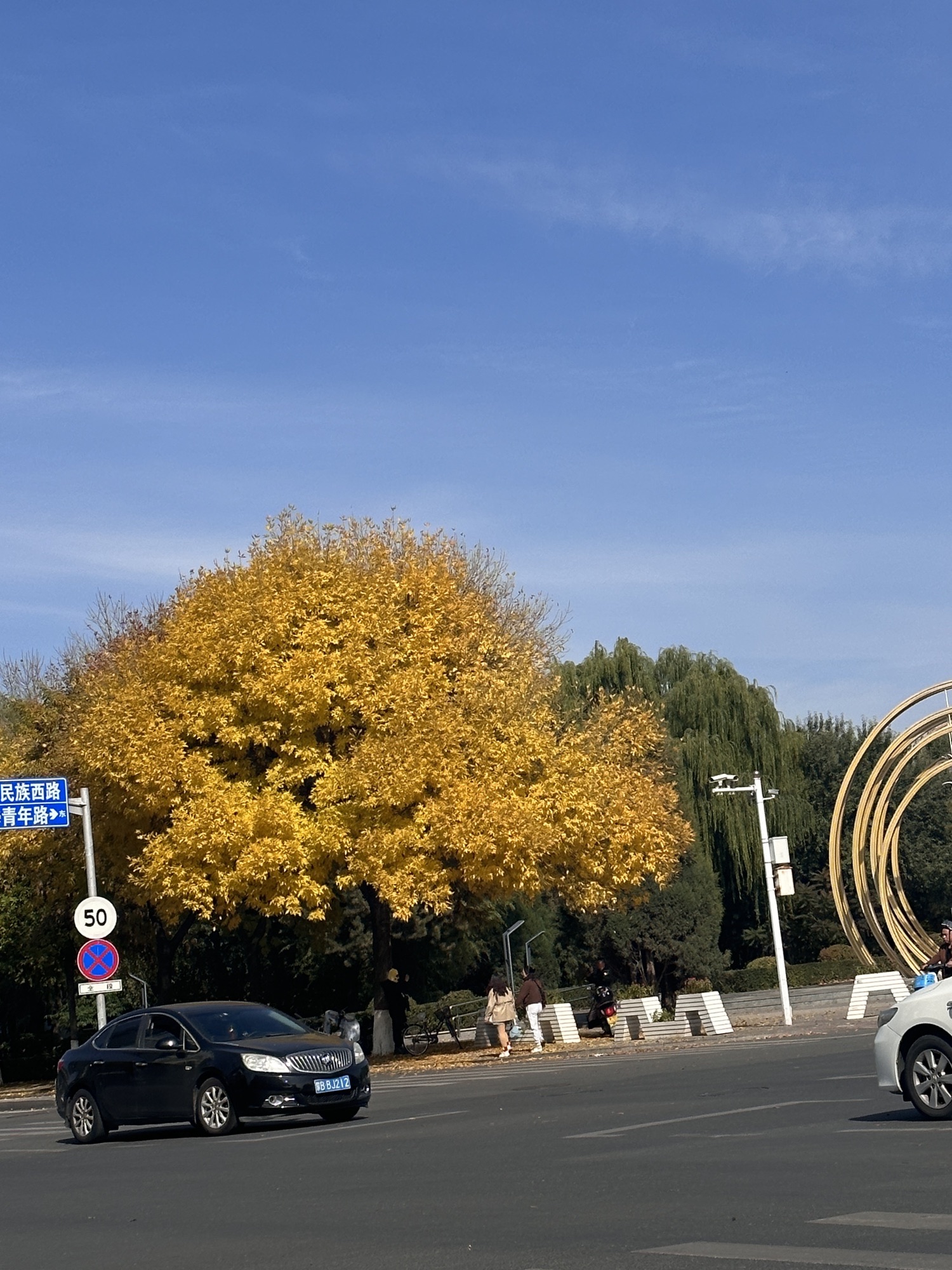 阿尔丁植物公园旅行图片 3