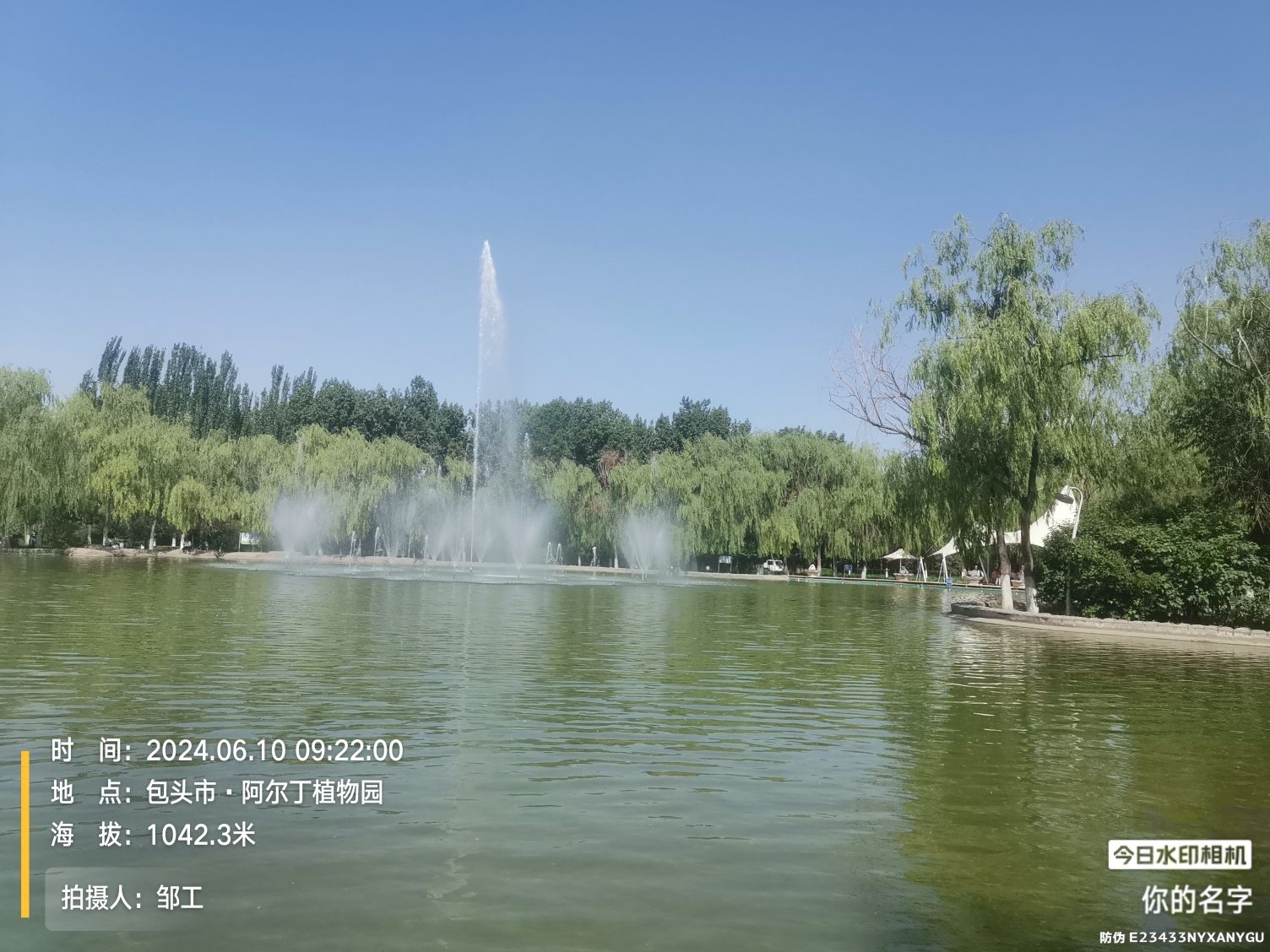 阿尔丁植物公园旅行图片 2
