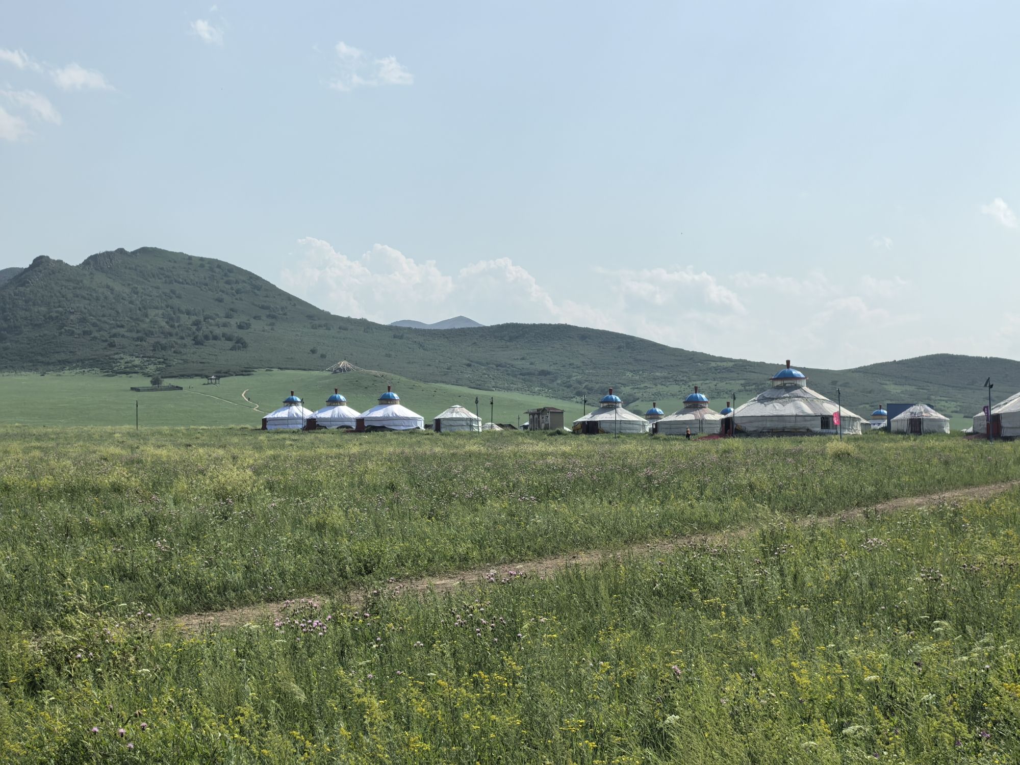 扎鲁特旗军马场山地草原旅游区(暂停开放)旅行图片 3