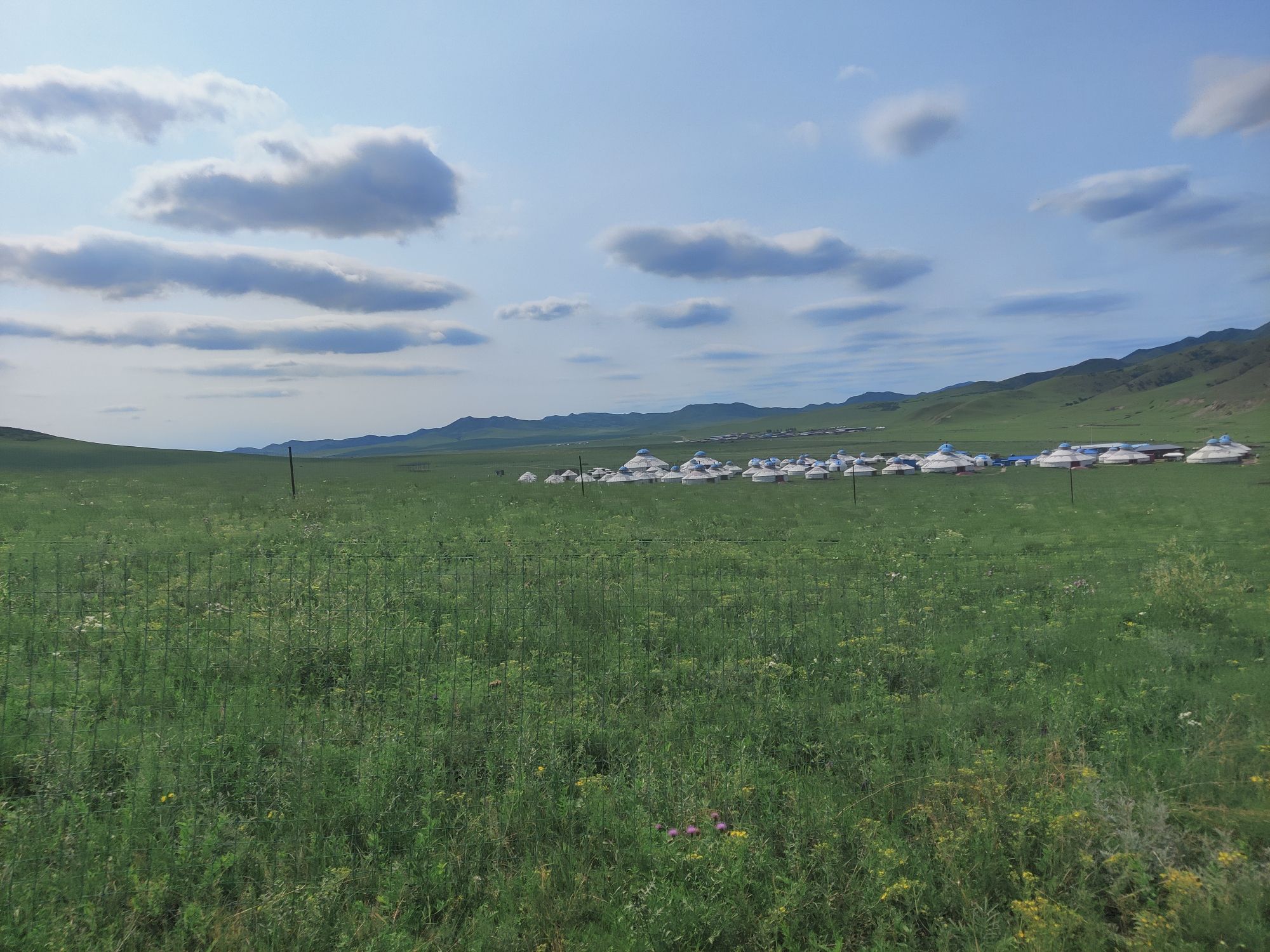 扎鲁特旗军马场山地草原旅游区(暂停开放)旅行图片 1