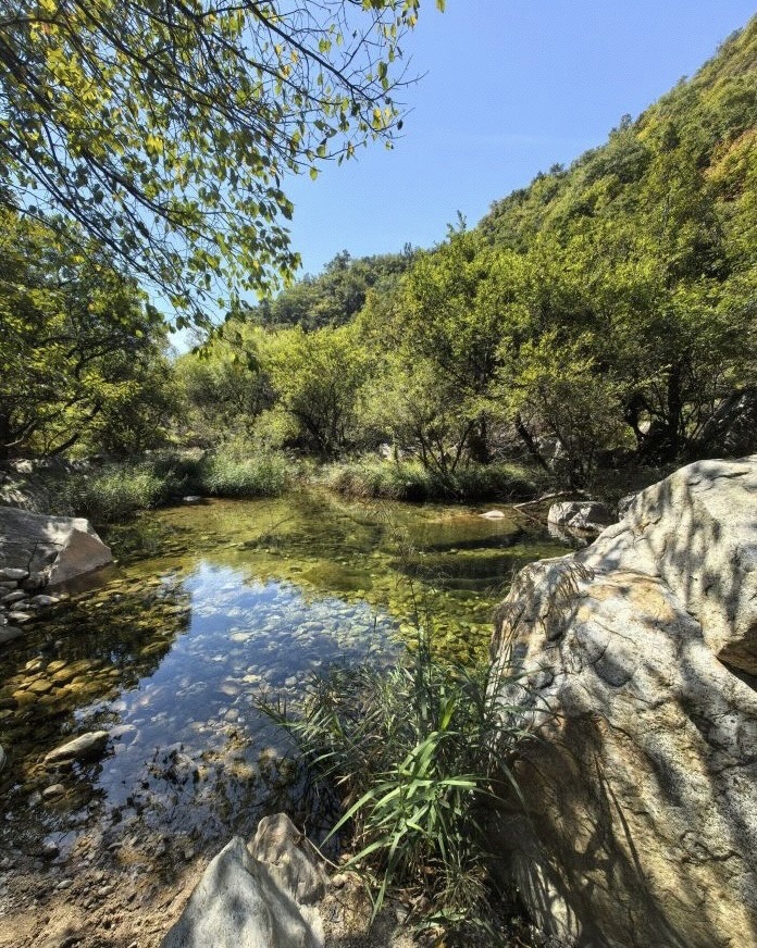九龙瀑布群旅行图片 1