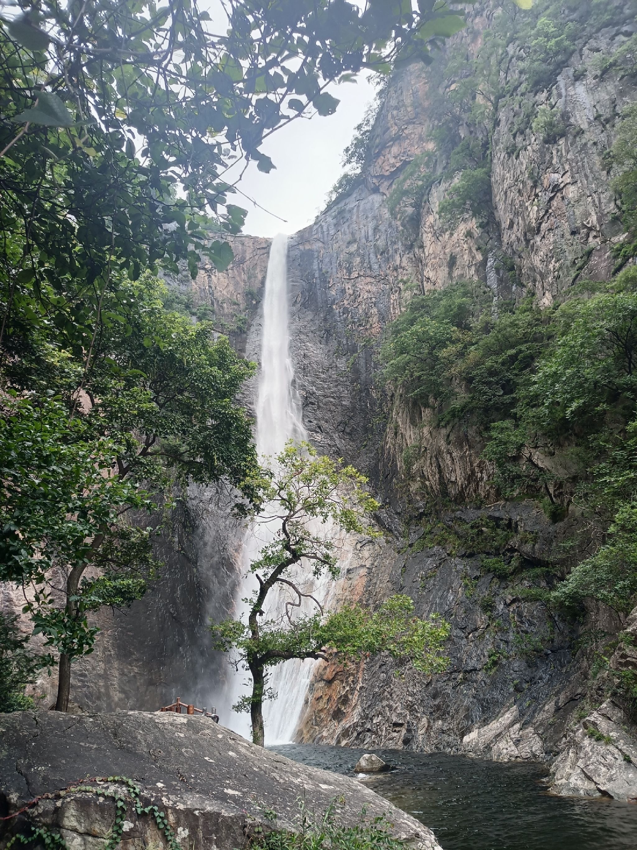 九龙瀑布群旅行图片 1