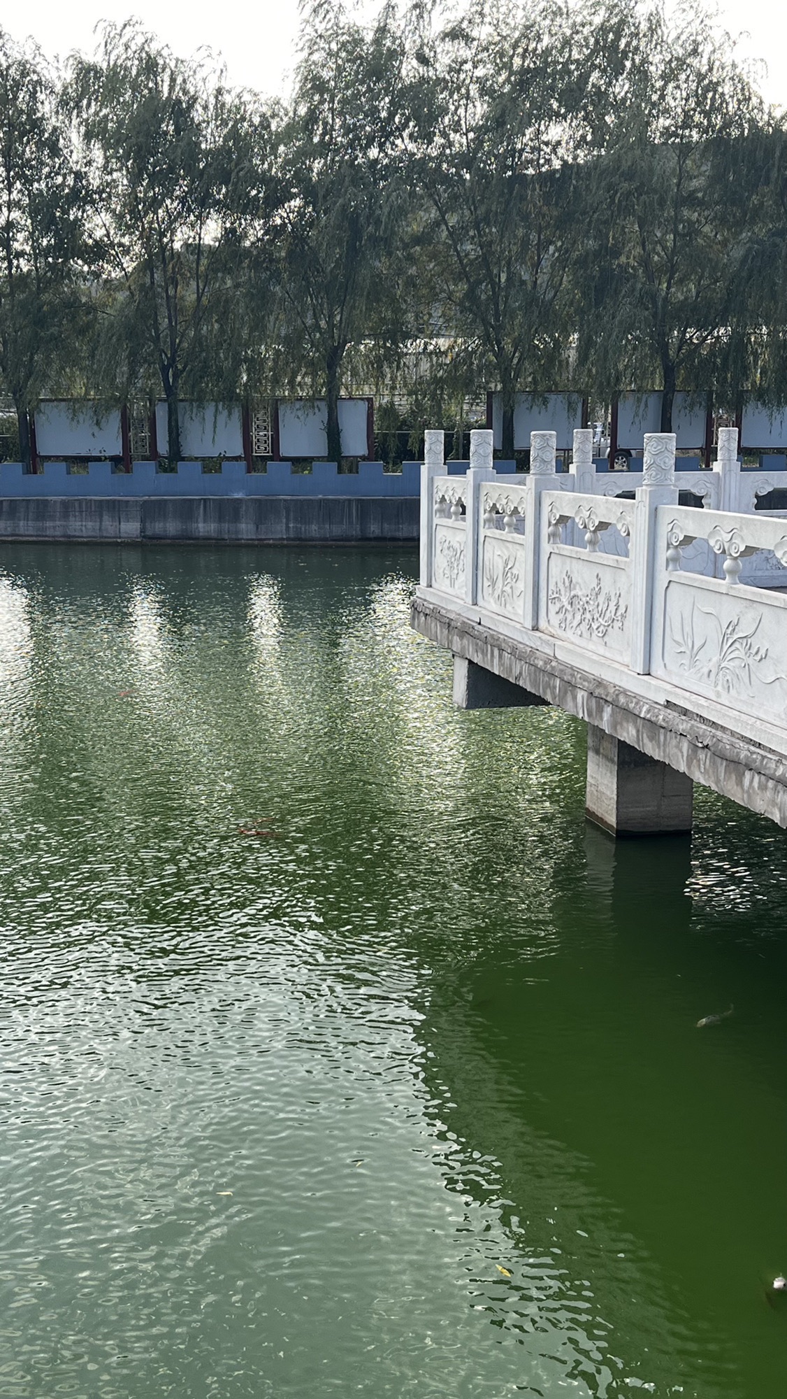 鸡冠山生态农业产业园旅行图片 3