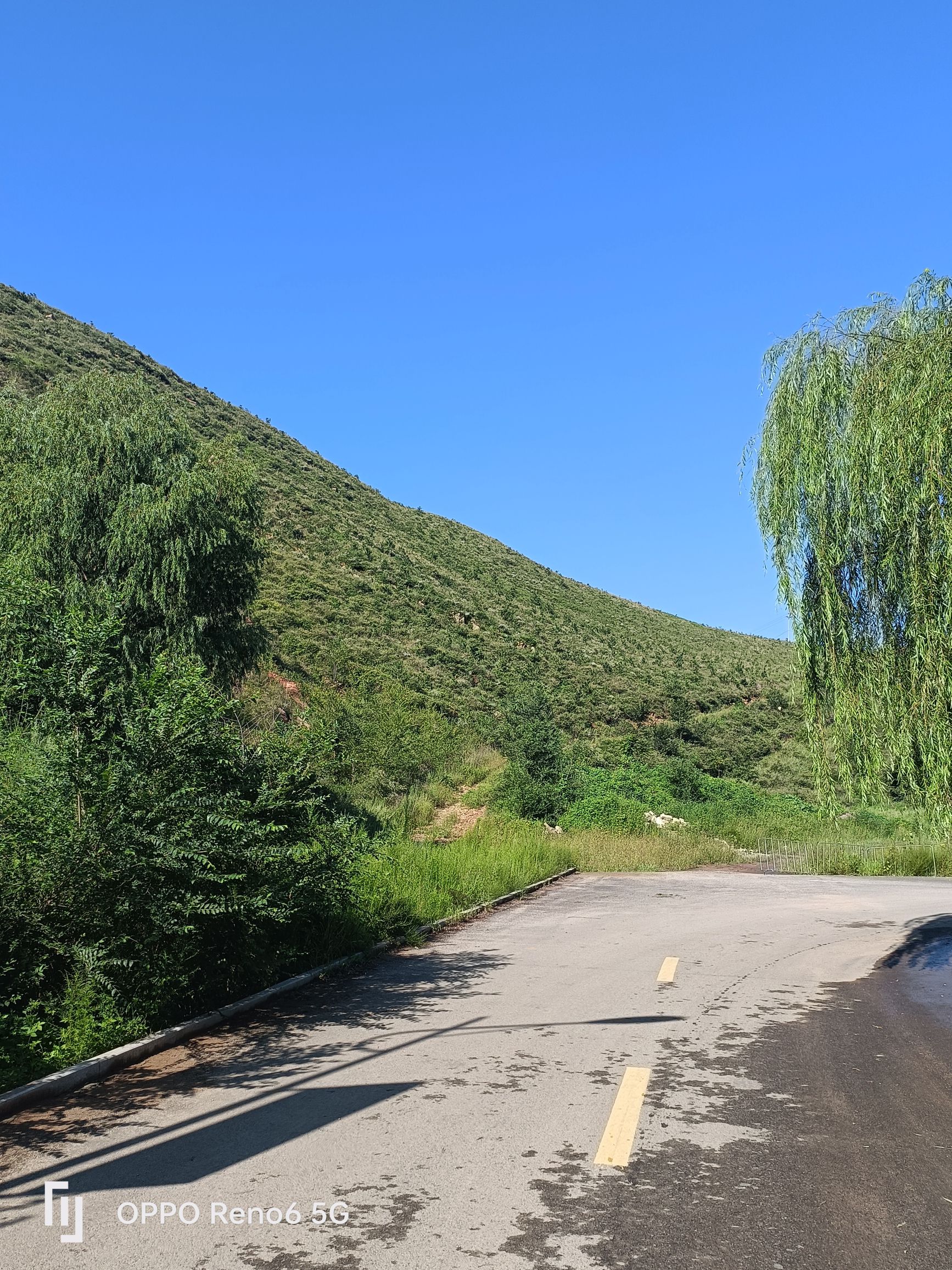 鸡冠山生态农业产业园旅行图片 3