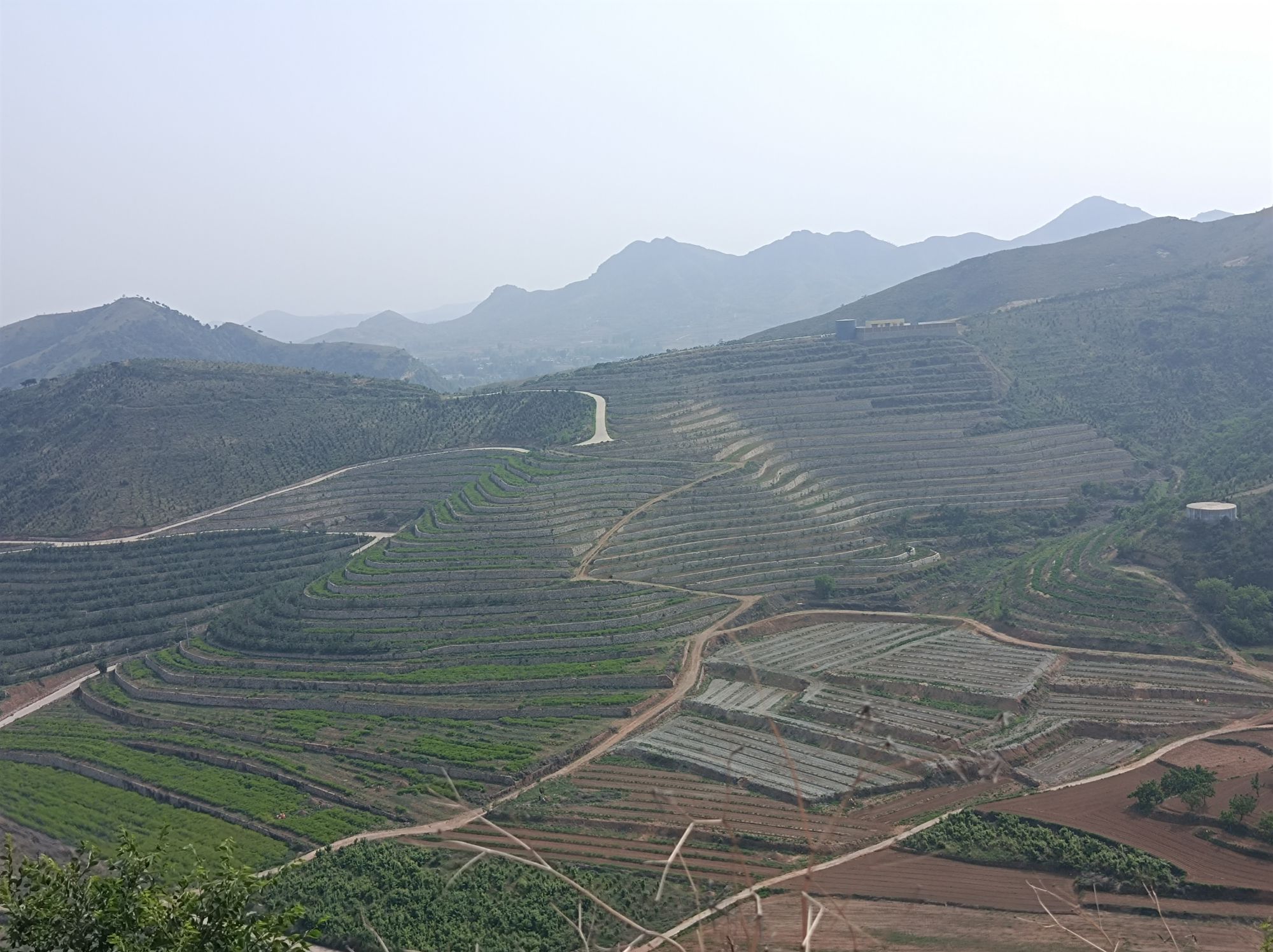 鸡冠山生态农业产业园旅行图片 3