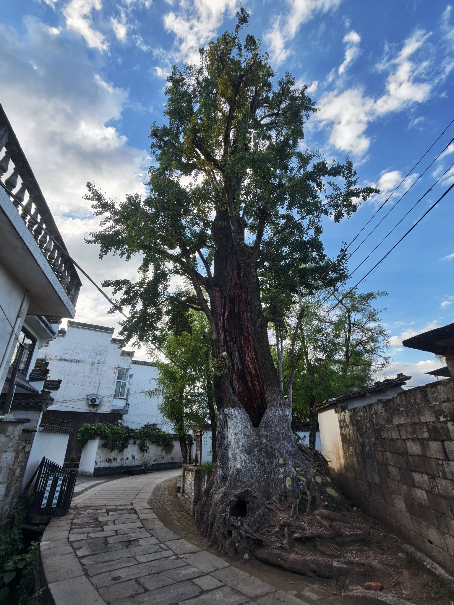 西溪南古村落旅行图片 1