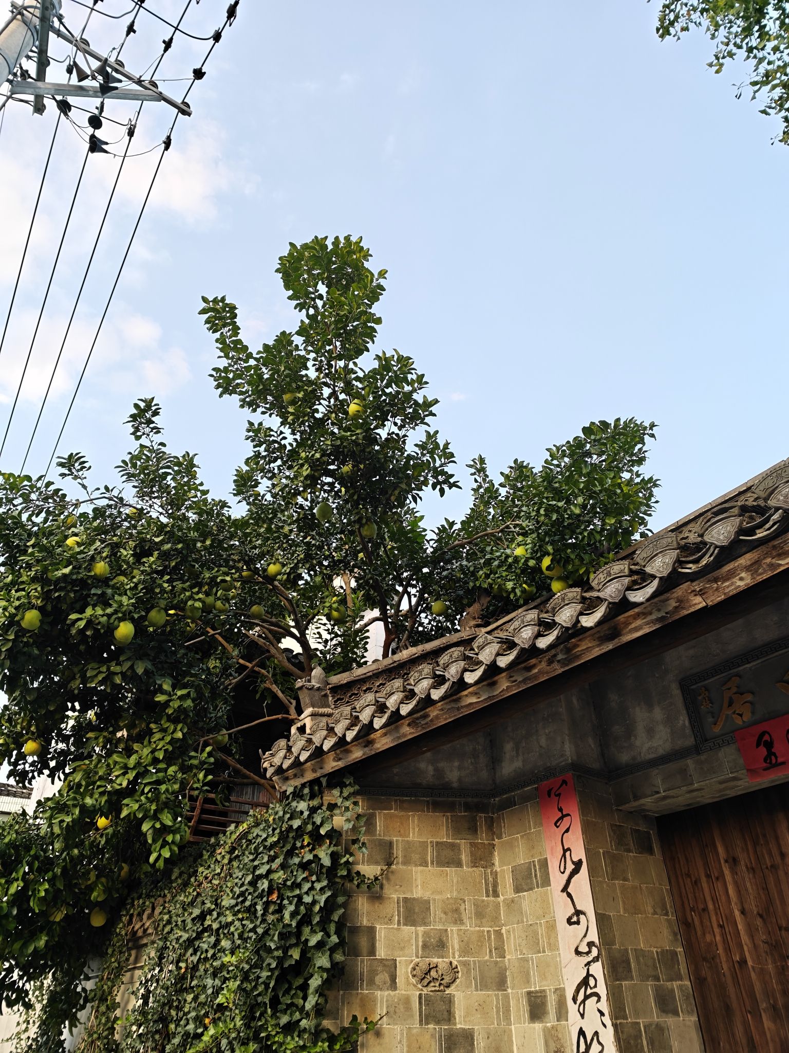 西溪南古村落旅行图片 1