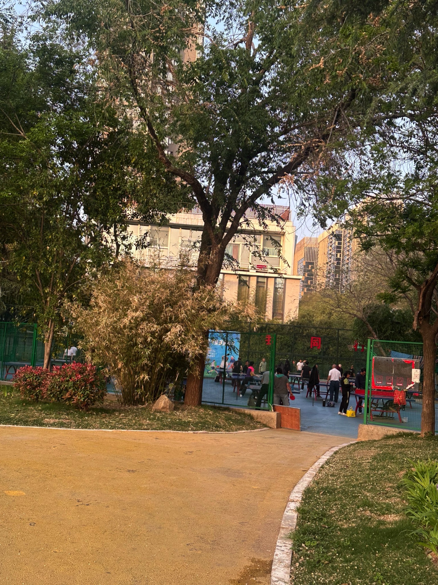 世纪华阳公园旅行图片 3