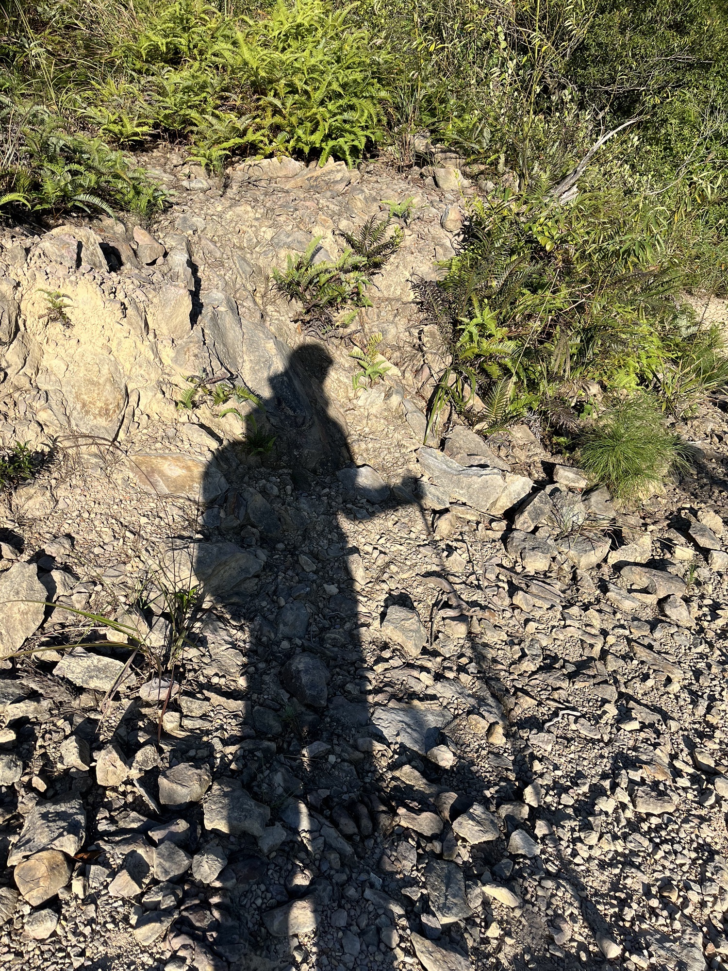 马耳山旅行图片 3