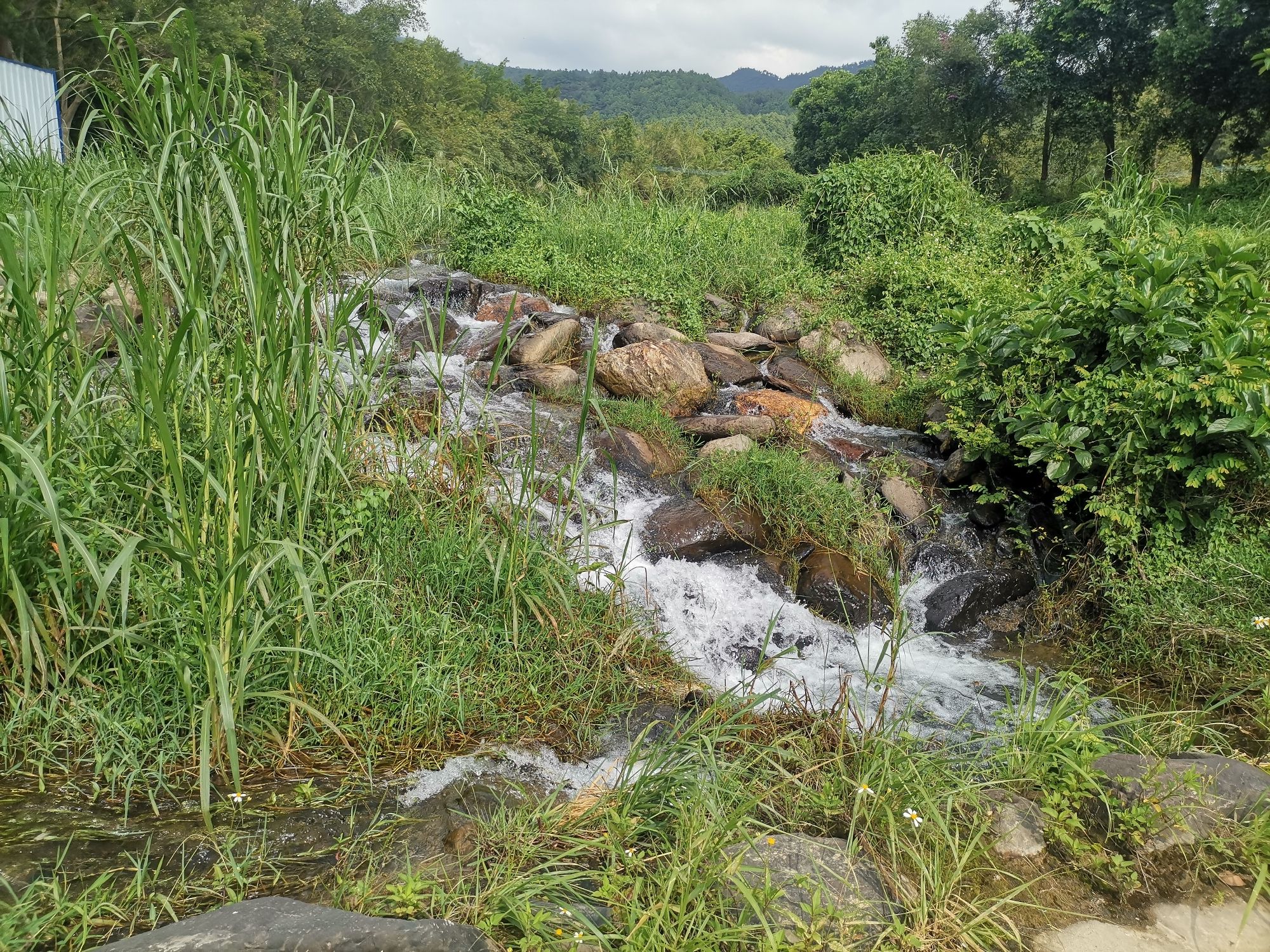 马耳山旅行图片 3