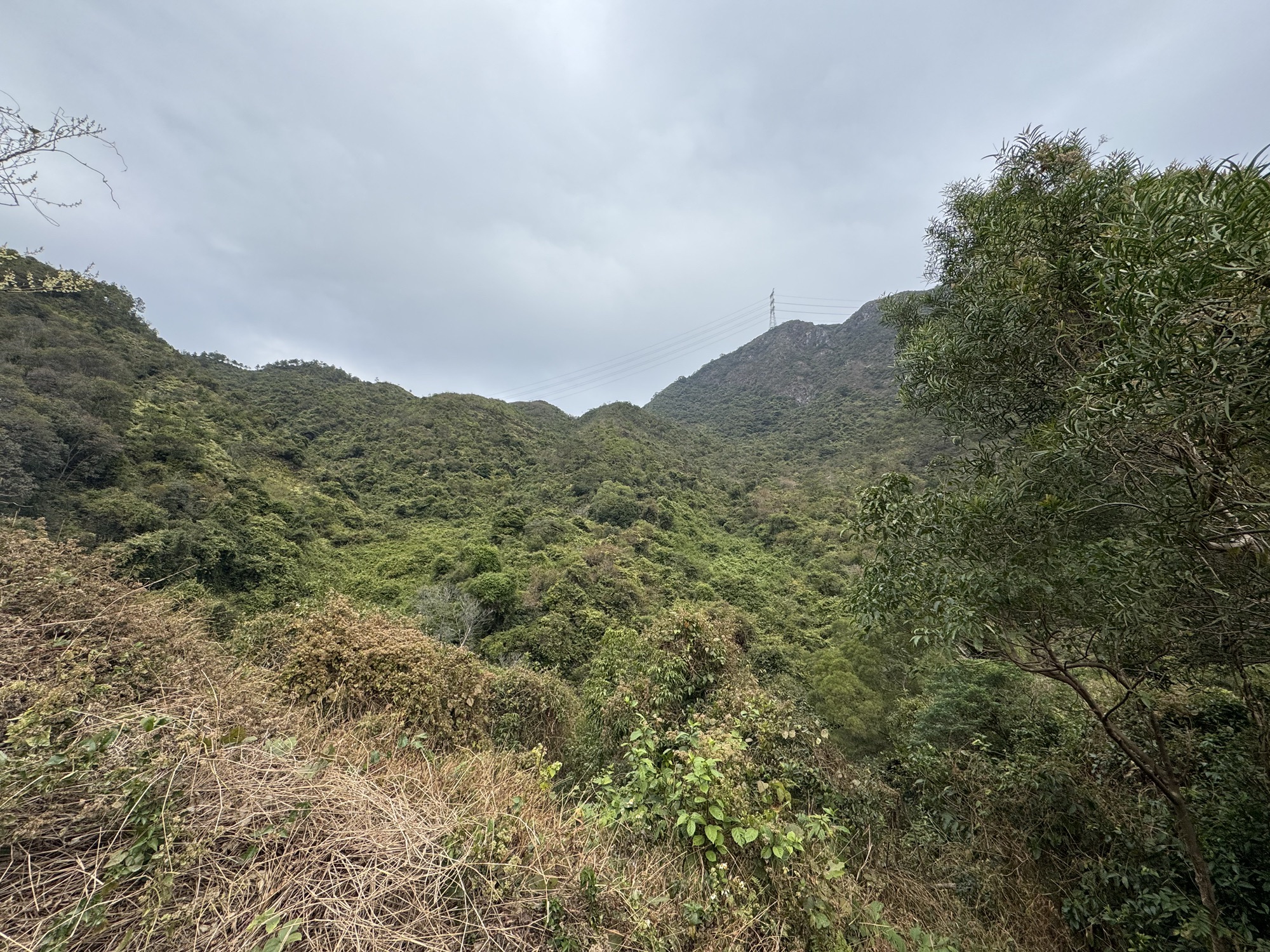 马耳山旅行图片 3