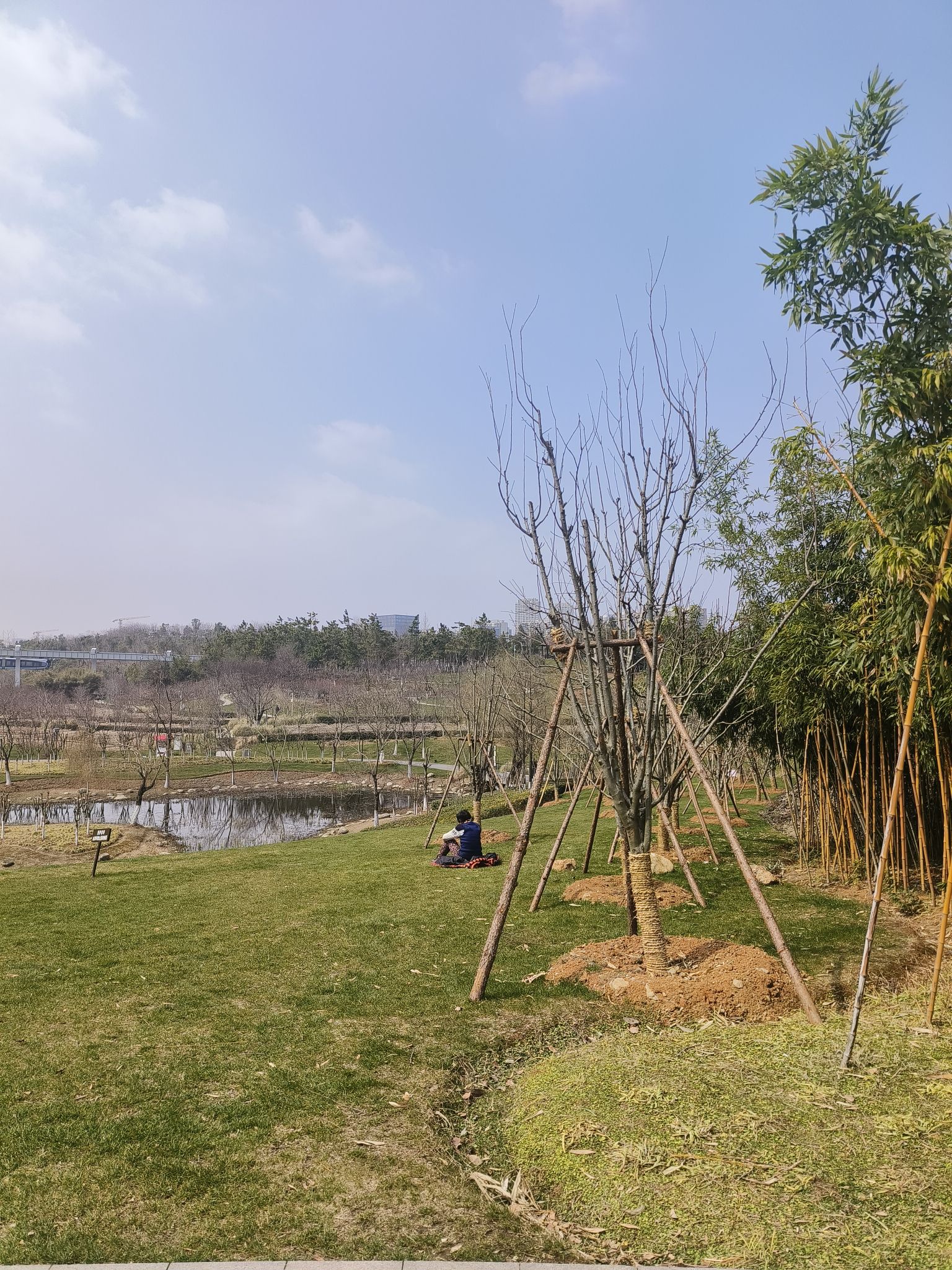 中心城·西苑公园旅行图片 2