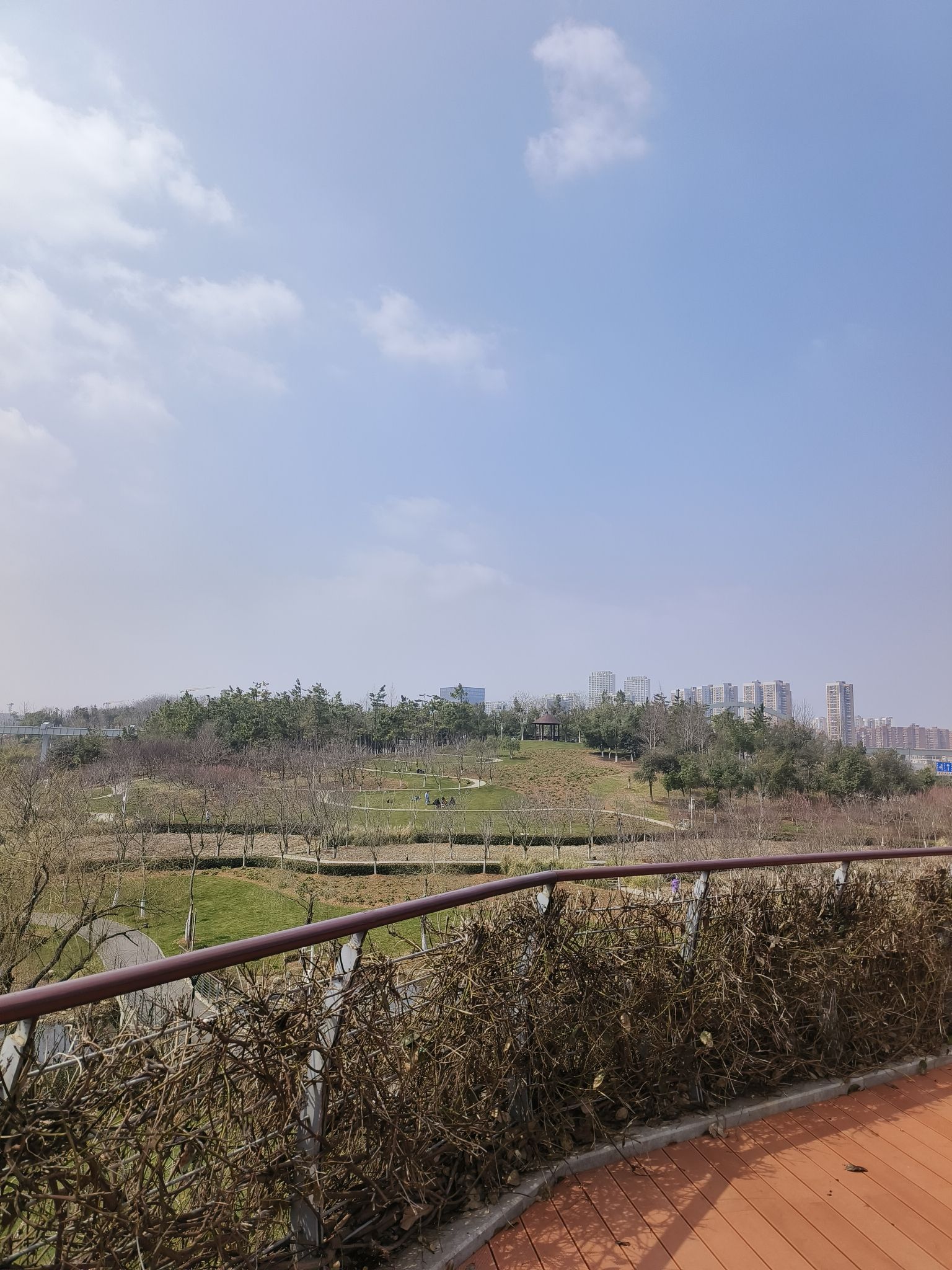 中心城·西苑公园旅行图片 1