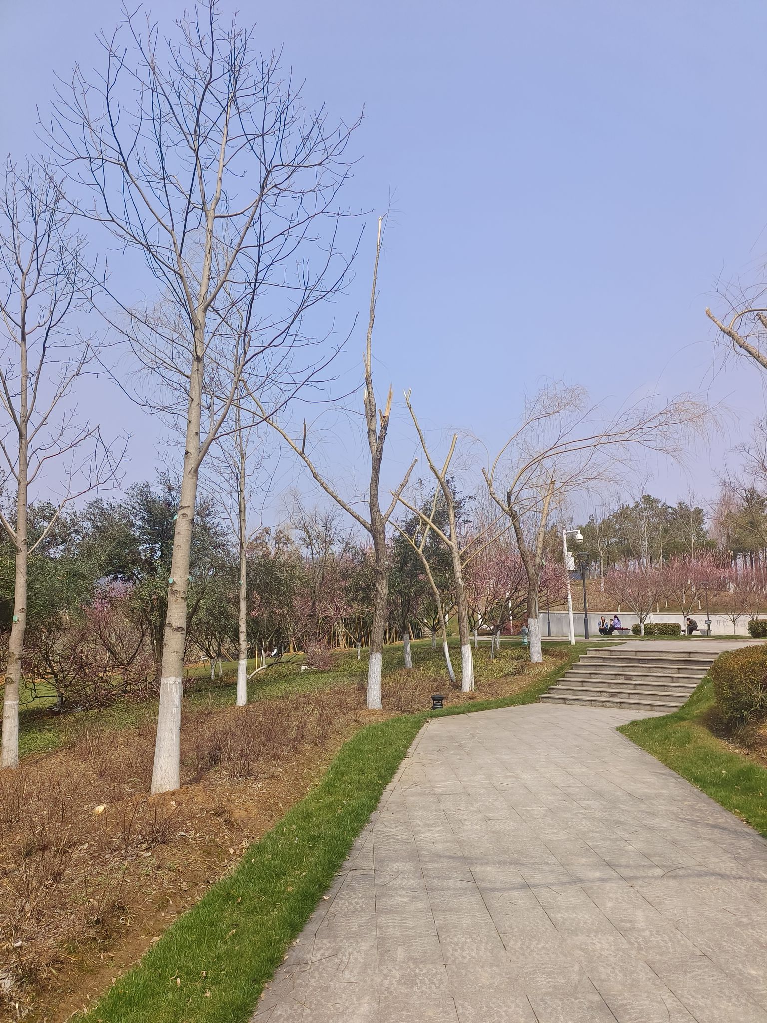 中心城·西苑公园旅行图片 3
