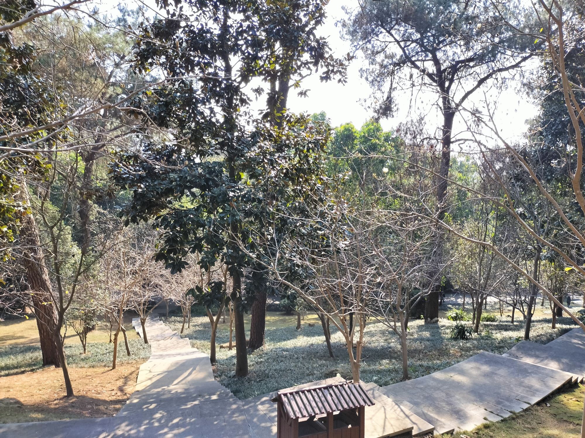 大帽山公园旅行图片 3