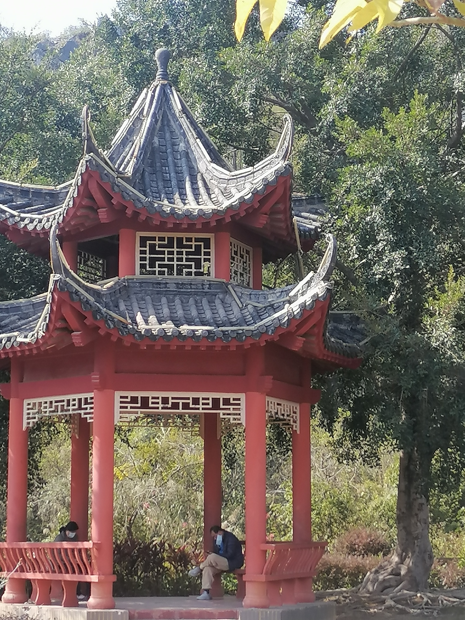 大帽山公园旅行图片 3