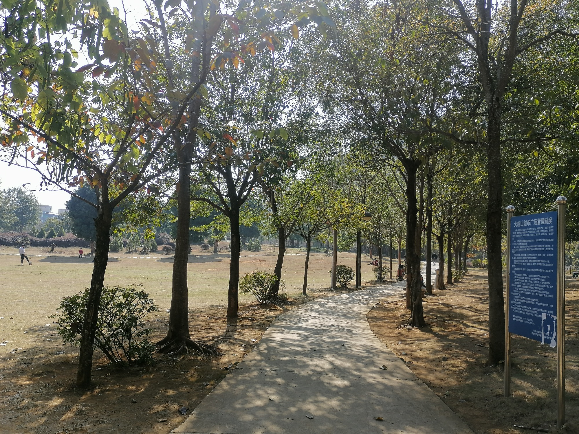 大帽山公园旅行图片 2