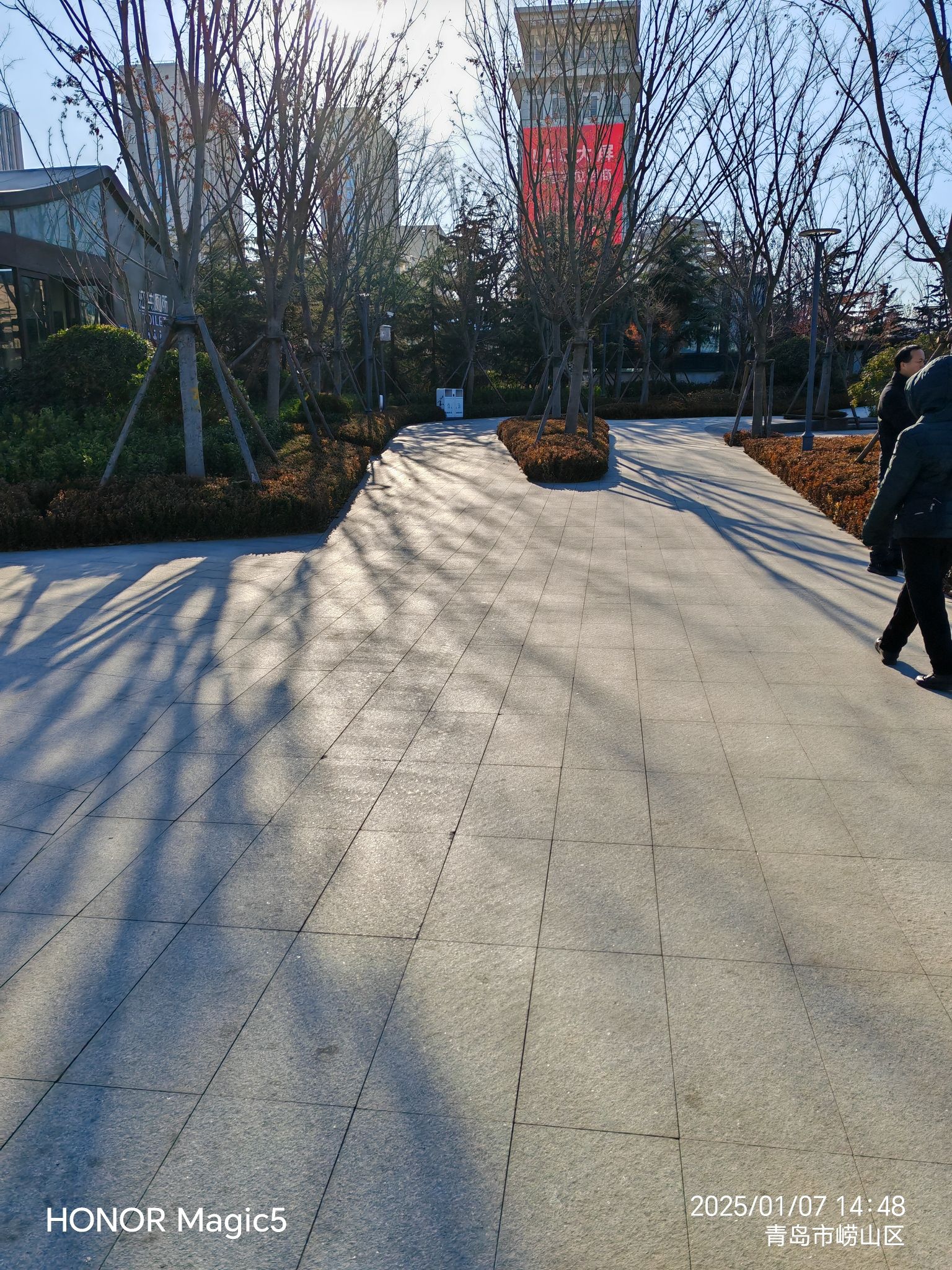 崂山区深圳路体育公园旅行图片 1