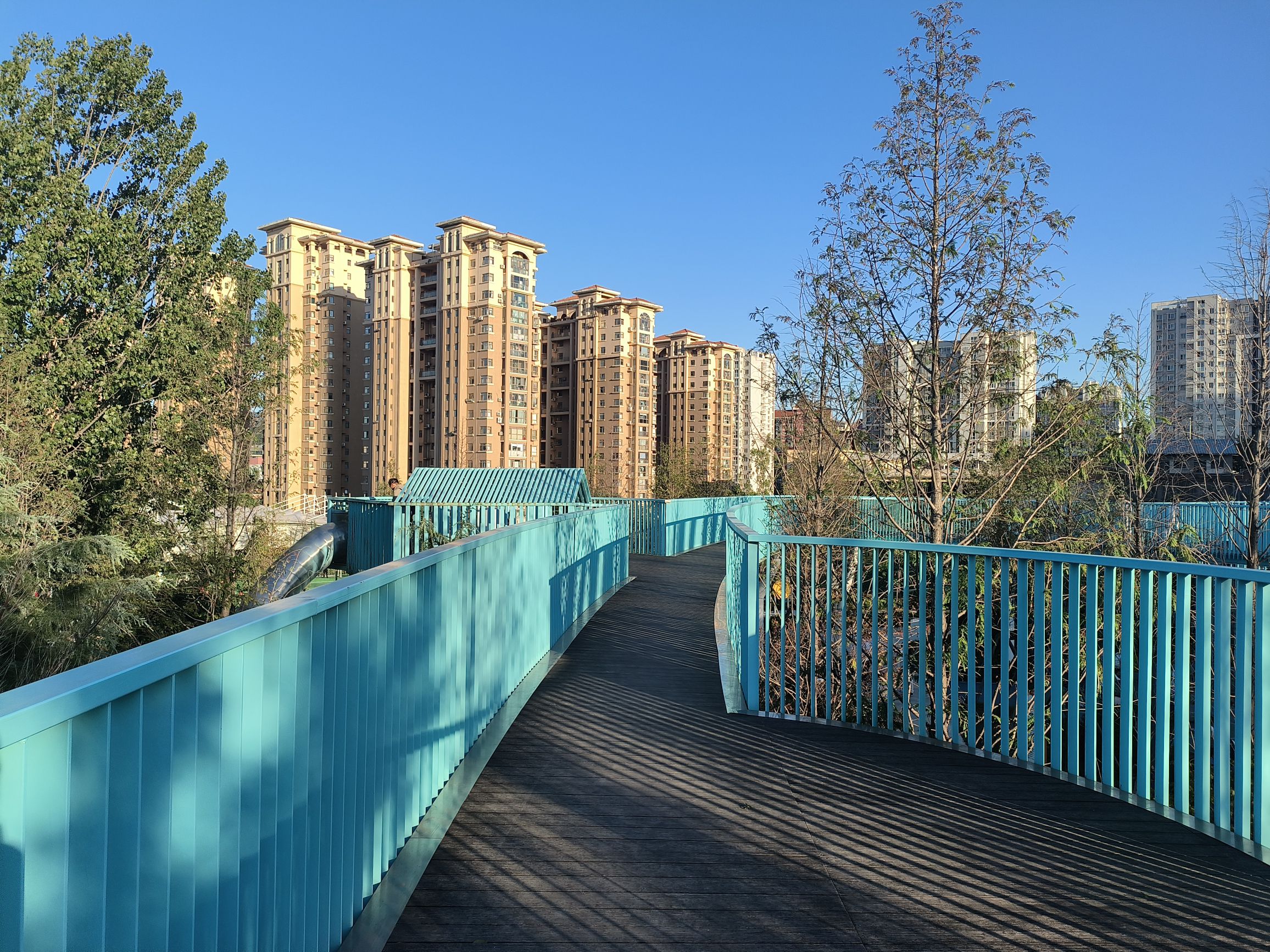 崂山区深圳路体育公园旅行图片 2